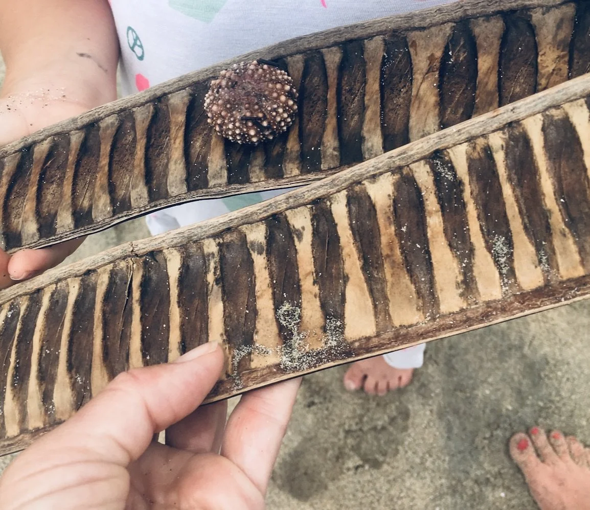 Screenshot 2026-02-11 at 5.26.59 PM.jpeg