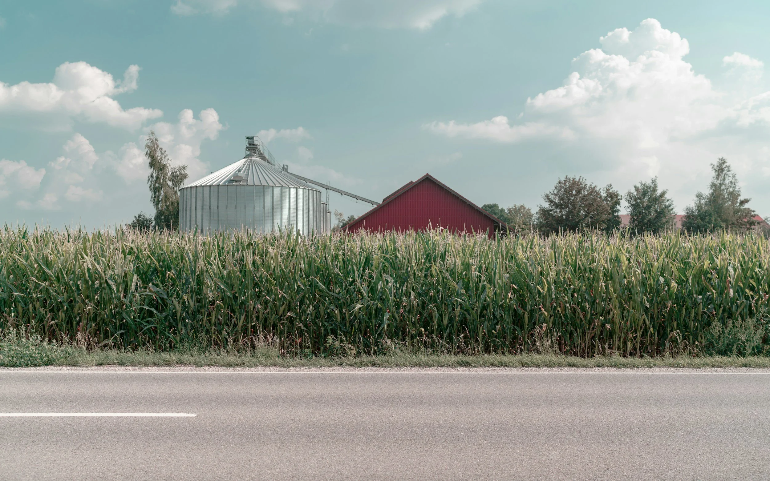 A cornfield in the foreground with a road at the bottom, a silver grain silo, a red barn, and trees in the background under a partly cloudy sky.