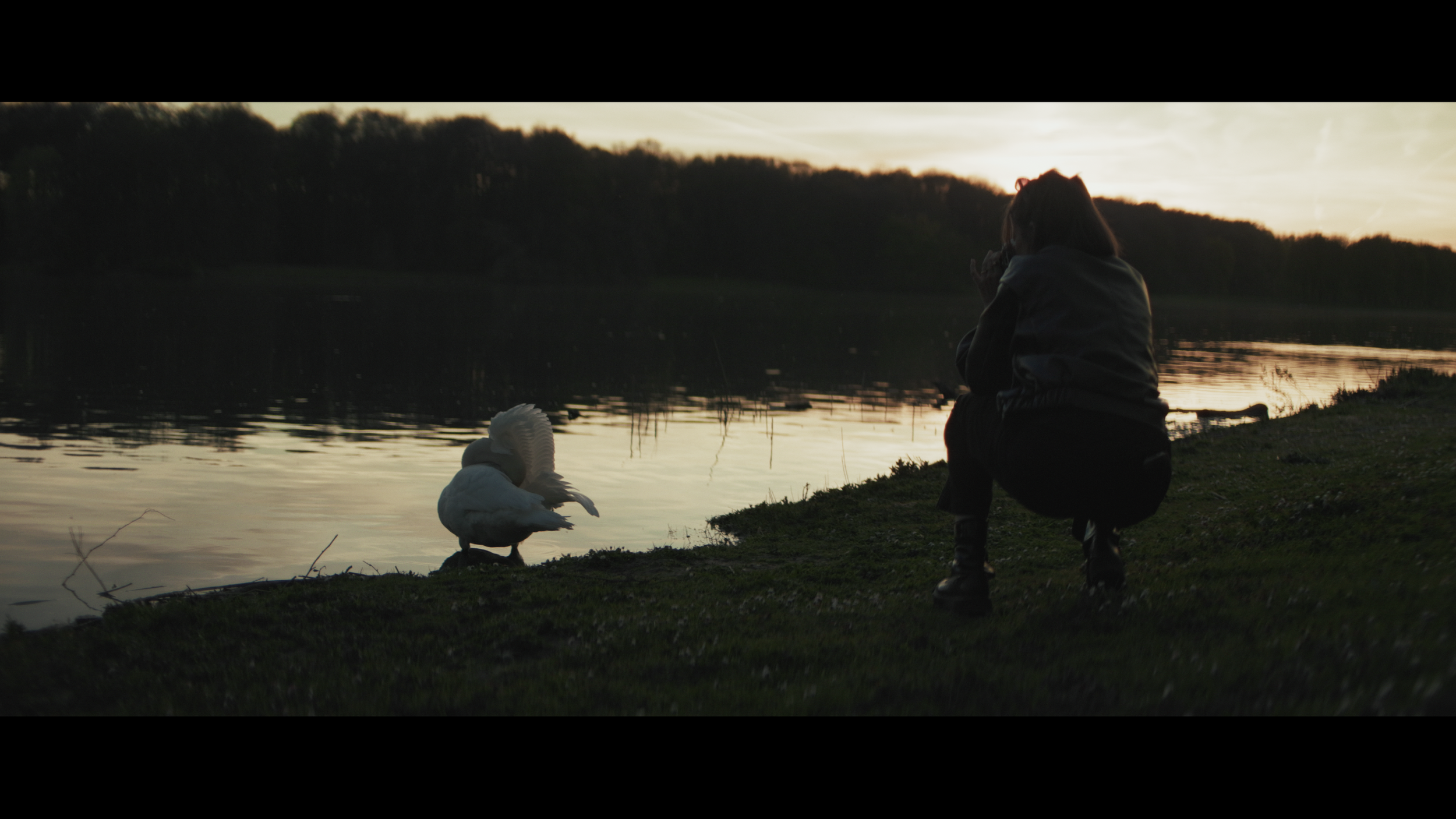Weitwinkel Szene am Decksteiner Weiher bei Golden Hour mit cineastischem Look