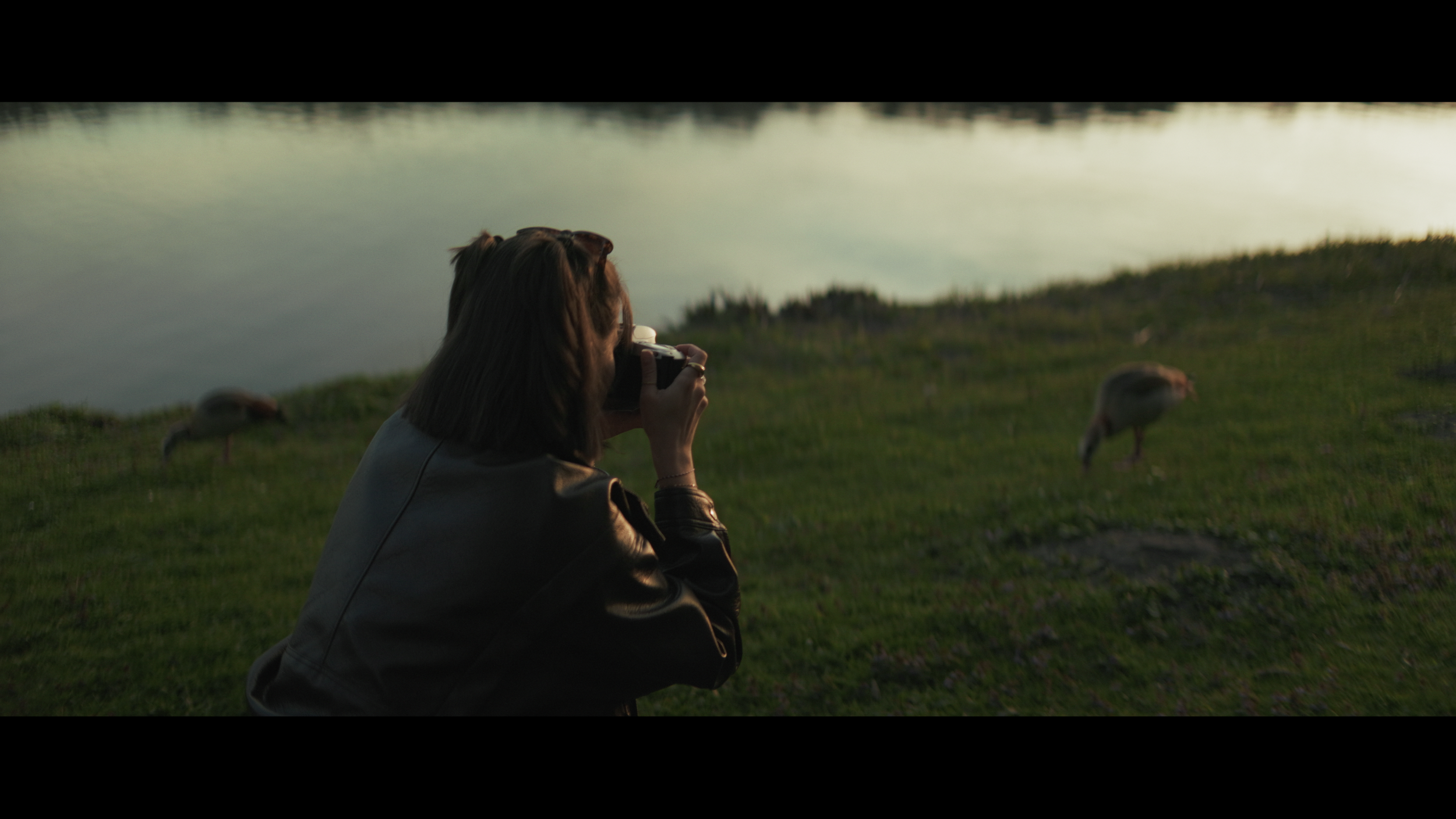 Natürliche Szene am Wasser mit Schwan und weichem Abendlicht im anamorphischen Look