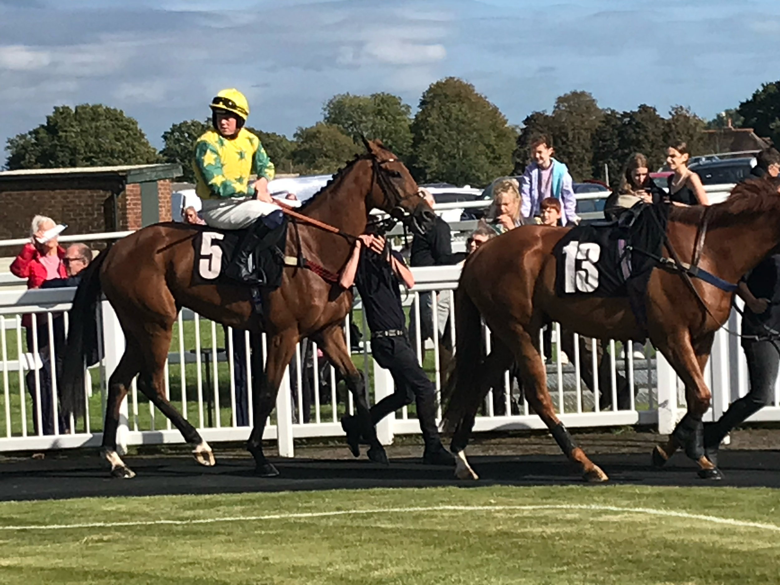 Two racehorses and jockeys are at the starting gate, preparing for a race at a racetrack.