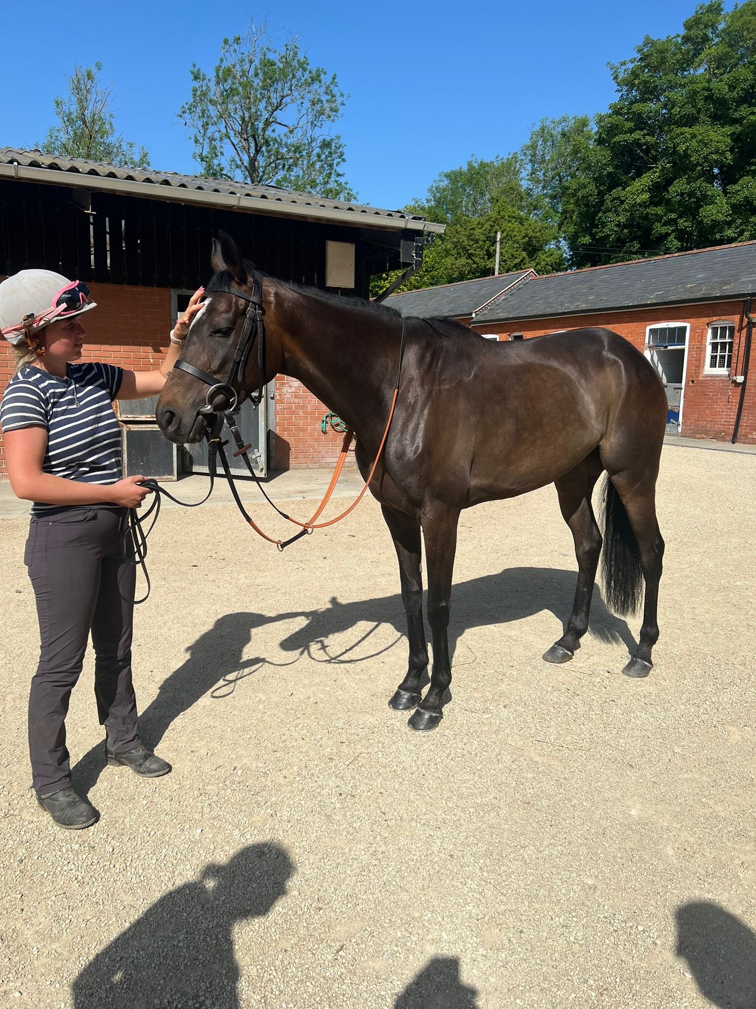 Fiercestone Joins HOE Racing