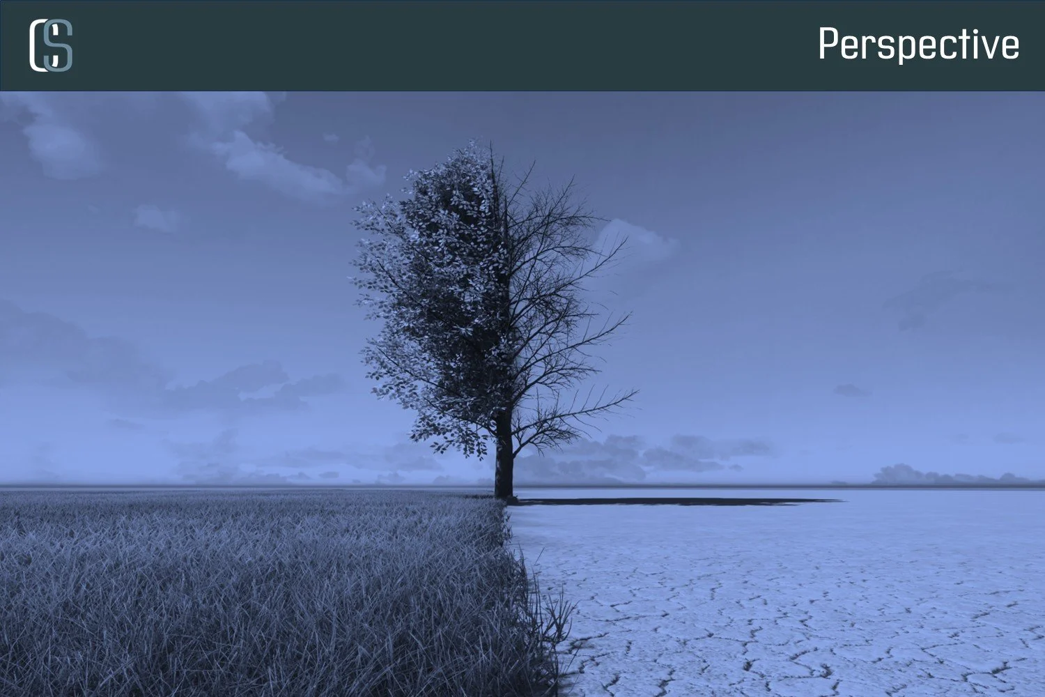 Declared Change Is Easy. Earned Change Is Rare.