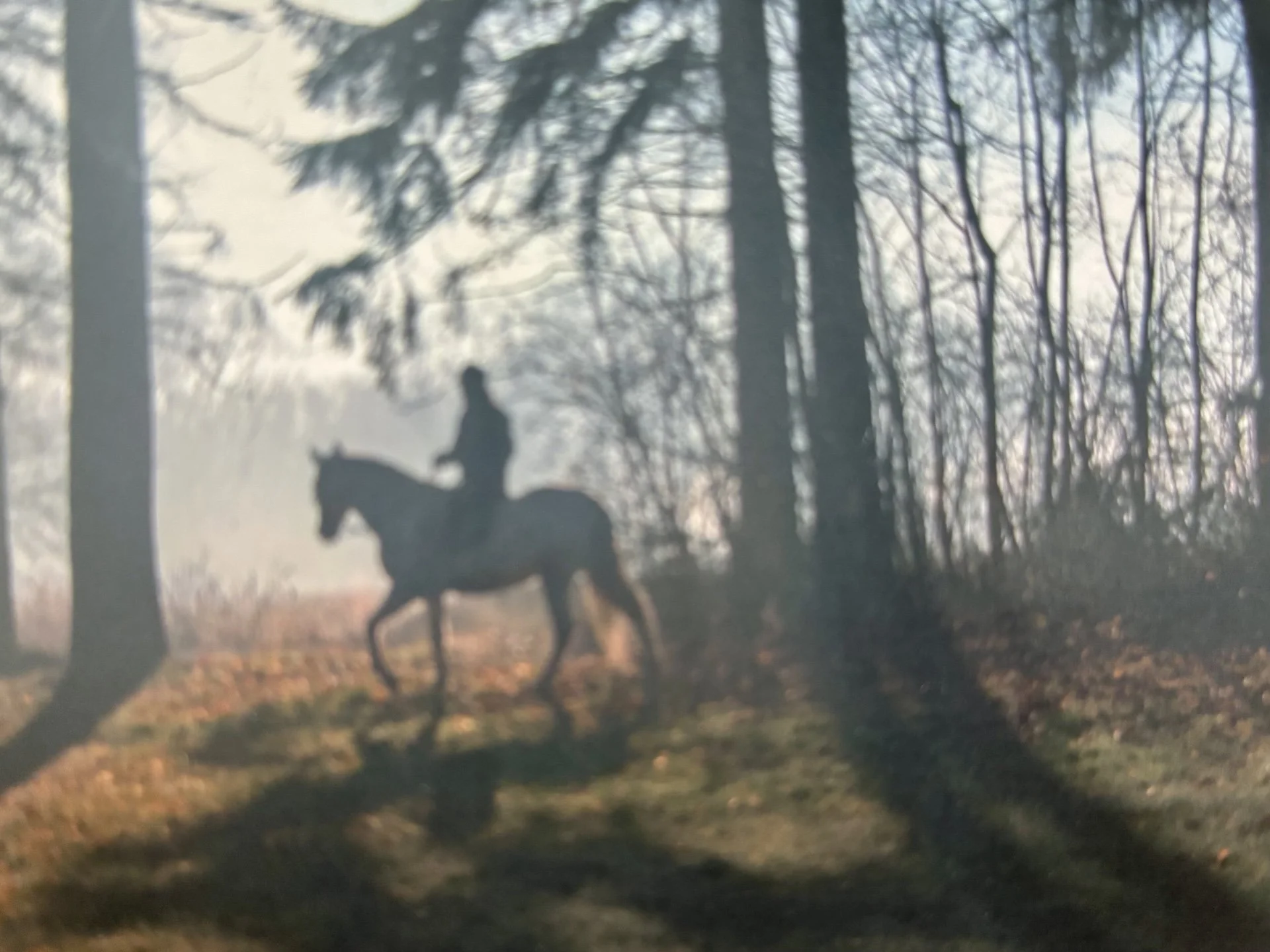 Wie kam Isabela Fárová nach Mayres?