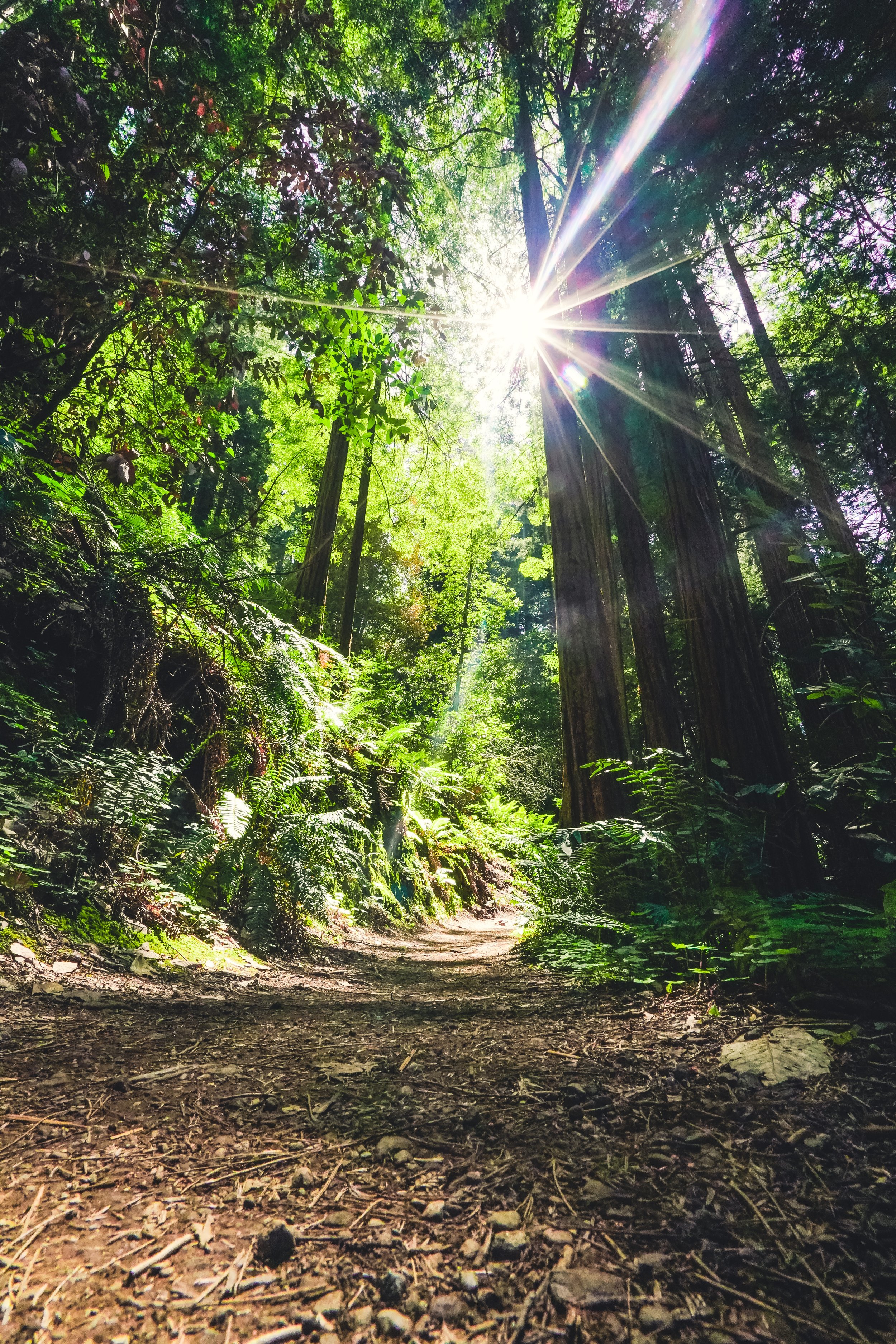 Moving with Kindness - Embodied Self-Compassion and Exercise