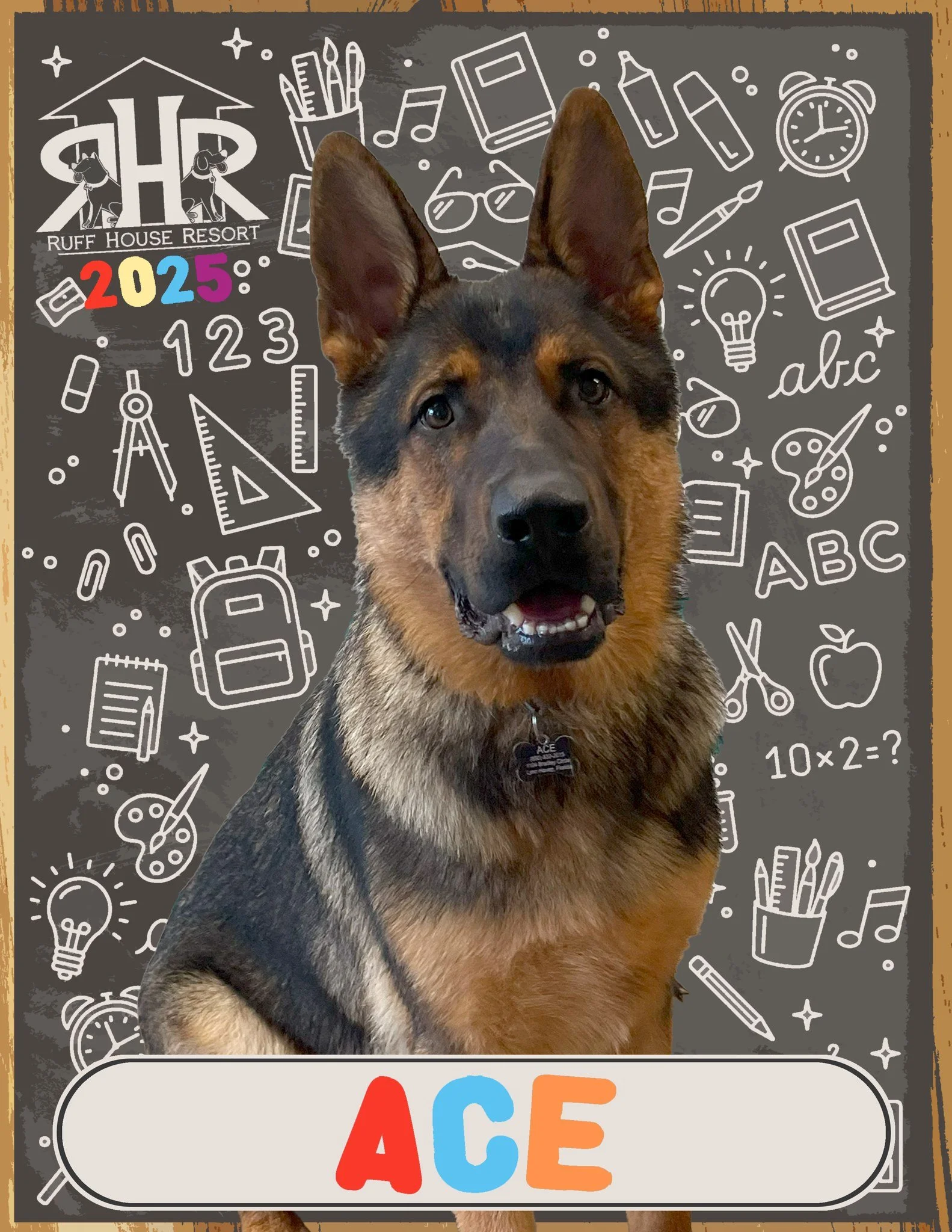 🎒 Class is in session&mdash;and the students are pawsitively adorable! 🐾
We&rsquo;re loving all these back-to-school cuties 📚✏️🐶 and there are still more to come! Instagram only lets us post 10 photos at a time, so head to Facebook to check the r