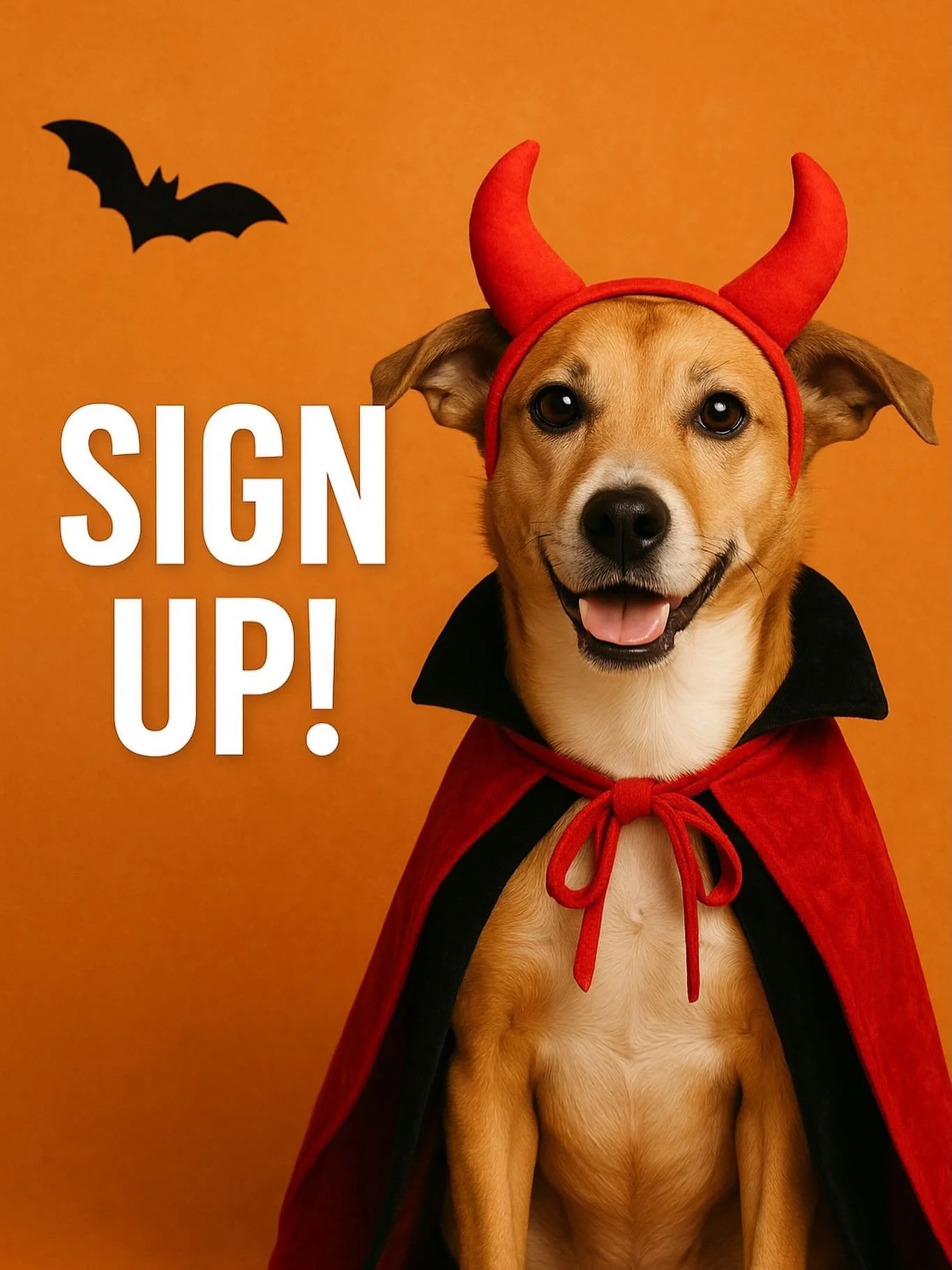 🎃👻 It&rsquo;s Time for Our Spook-tacular Halloween Costume Contest! 🦇

We&rsquo;re excited to celebrate Halloween with our amazing clients and their furry friends! Show off your pup&rsquo;s cutest, funniest, or most creative costume by submitting 