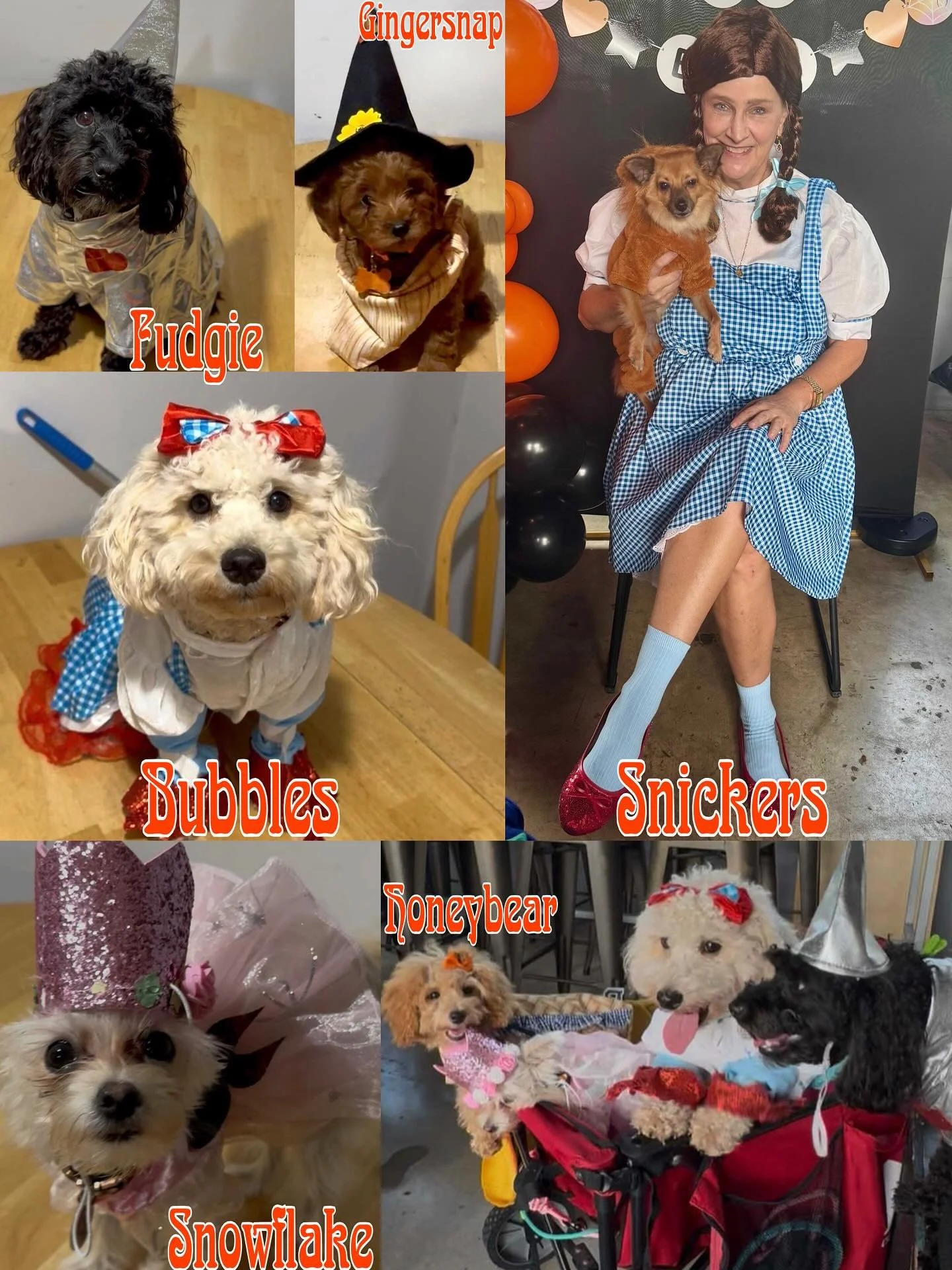 👻 It&rsquo;s voting time! 🎉
Our Spook-tacular Halloween Costume Contest entries are in, and we need YOUR help to pick the winners! 🏆
Head over to our Facebook page and react to your favorite costume &mdash; every like, heart, and laugh counts as a