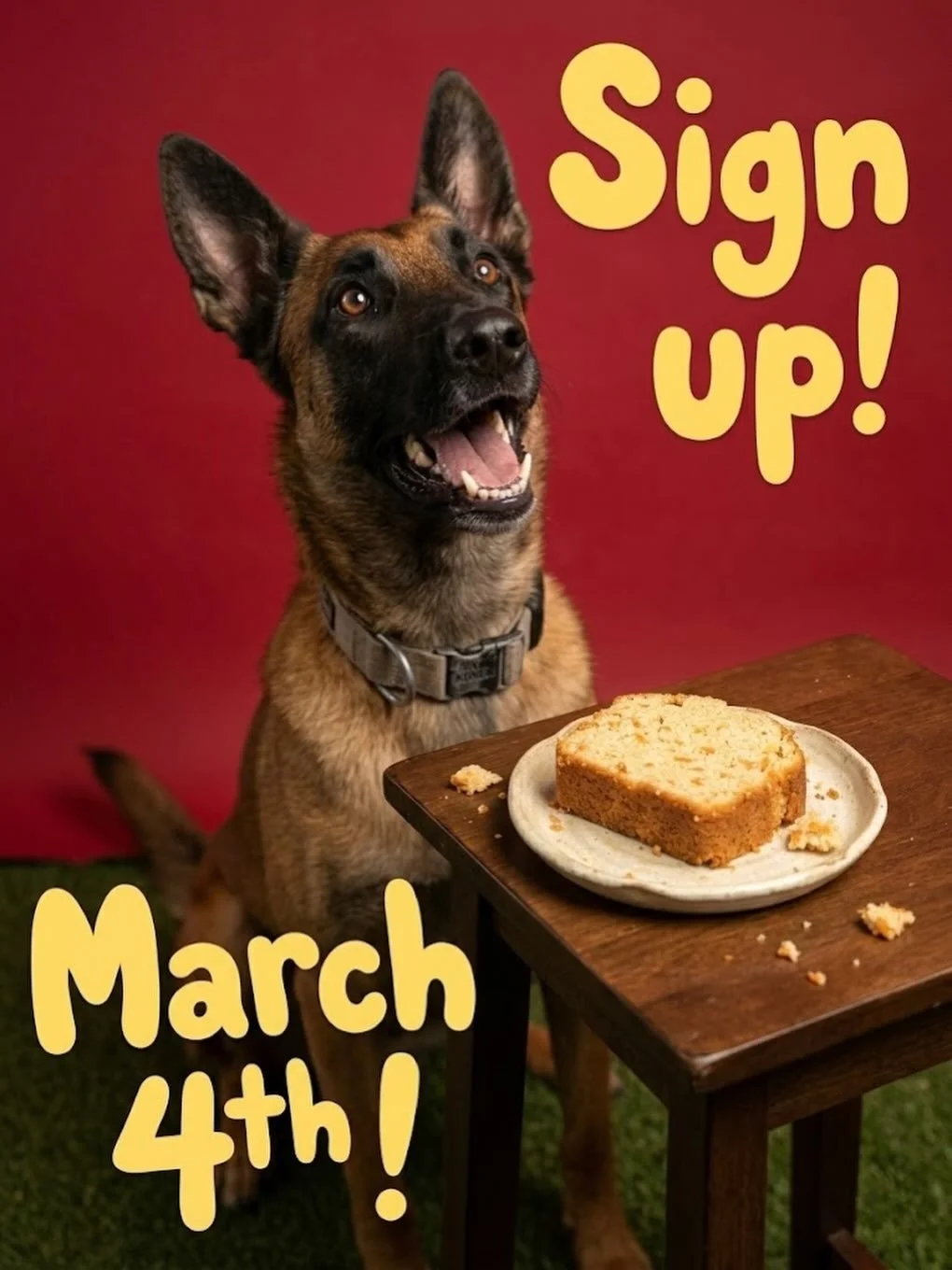 Poundcake Day is coming in HOT🔥🍰

Libby is personally requesting your pup&rsquo;s attendance TOMORROW and she will not take no for an answer! Look at that face. That is the face of a dog who believes in cake!

Sign your pup up at front desk for Pou
