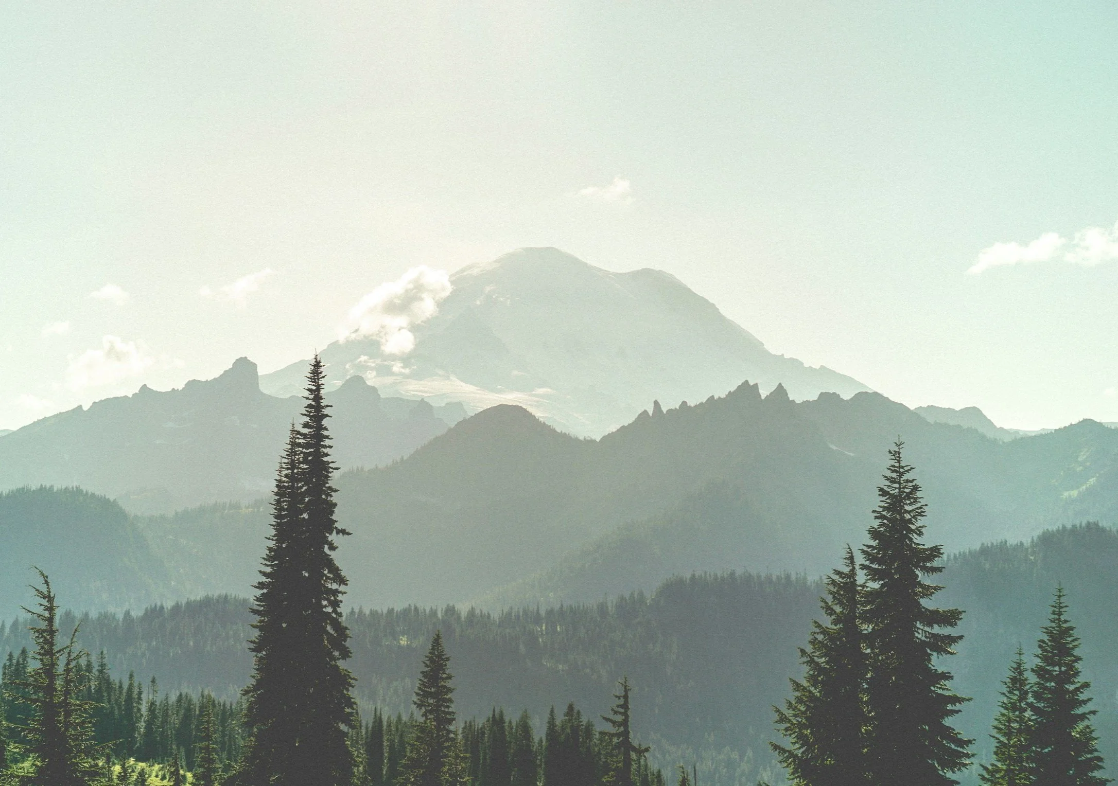 pierce-county-charter-review-district-1-committee-to-elect-jerome