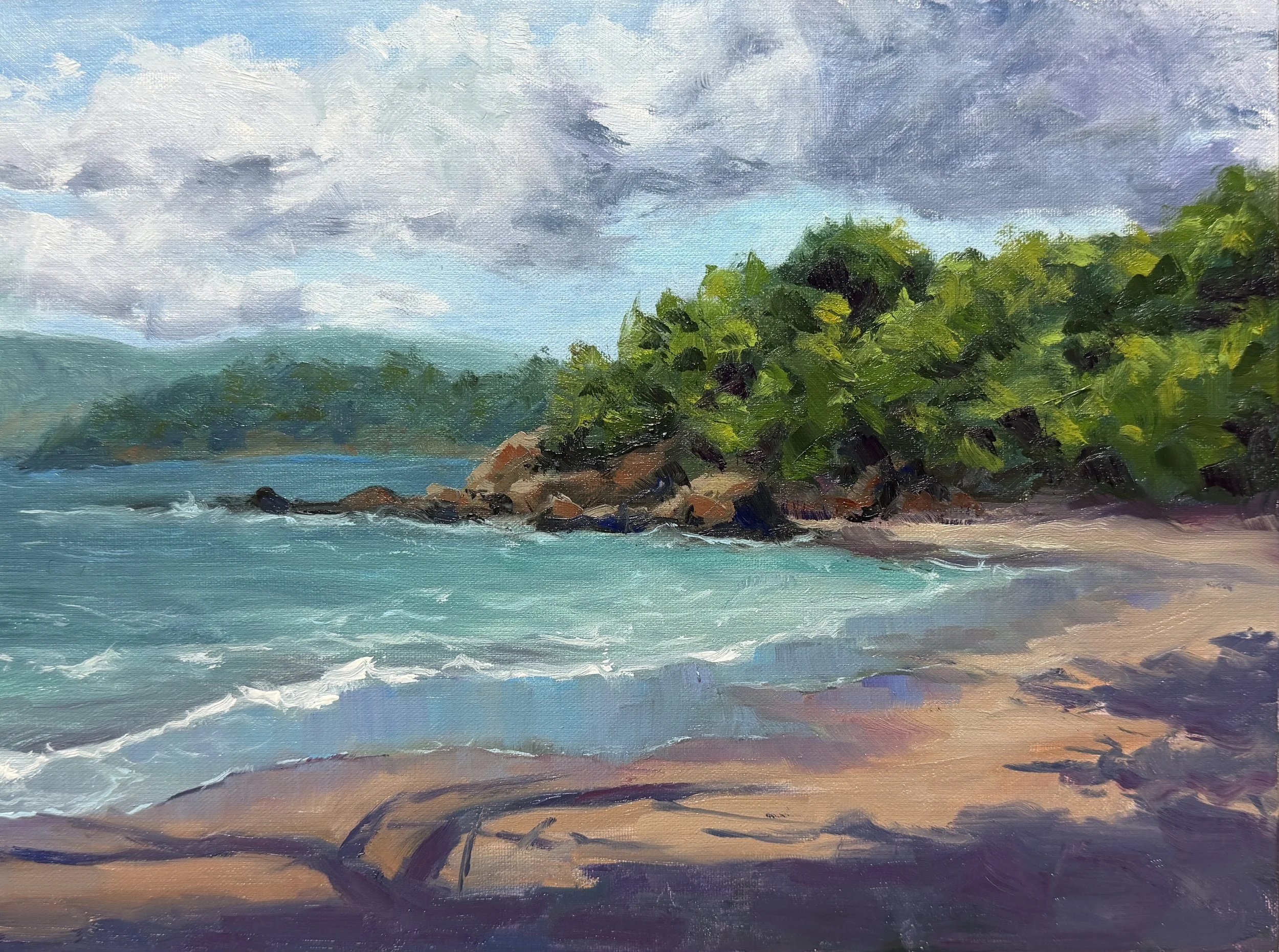 "Shade on the Sand", Playa Buena, Guanacaste, Costa Rica, 9x12" Oil on Linen Panel