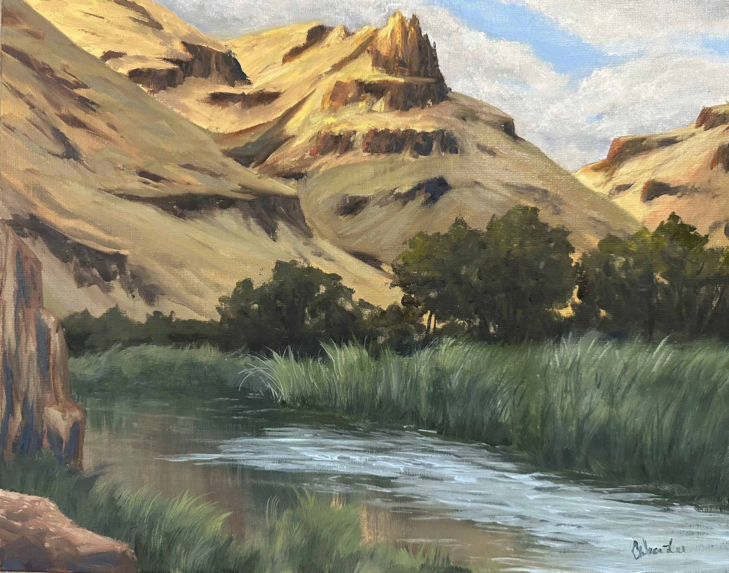 "Owyhee Dawn"