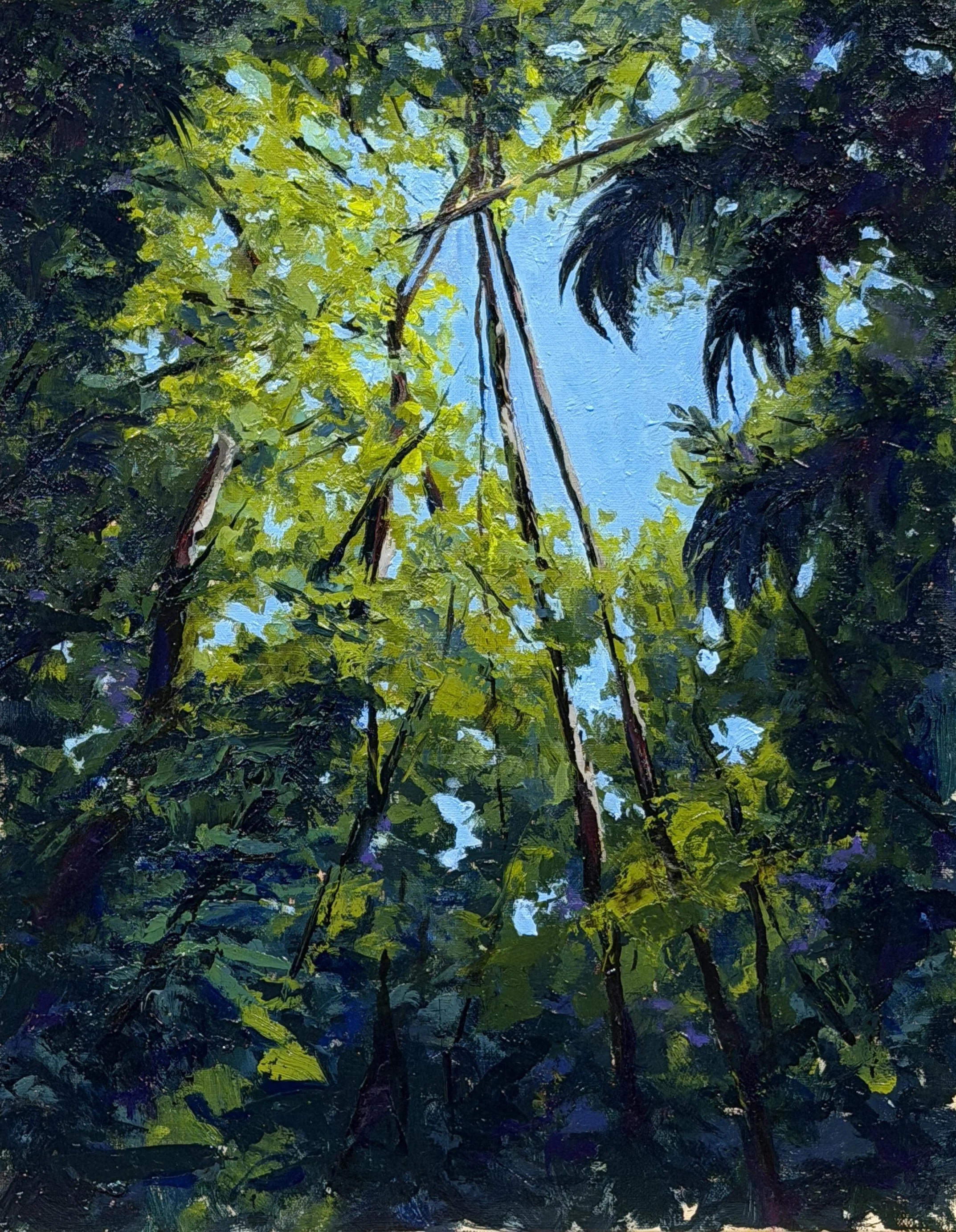 "Aperture III: Veil of Light", Costa Rica, 11x14" Oil on linen panel