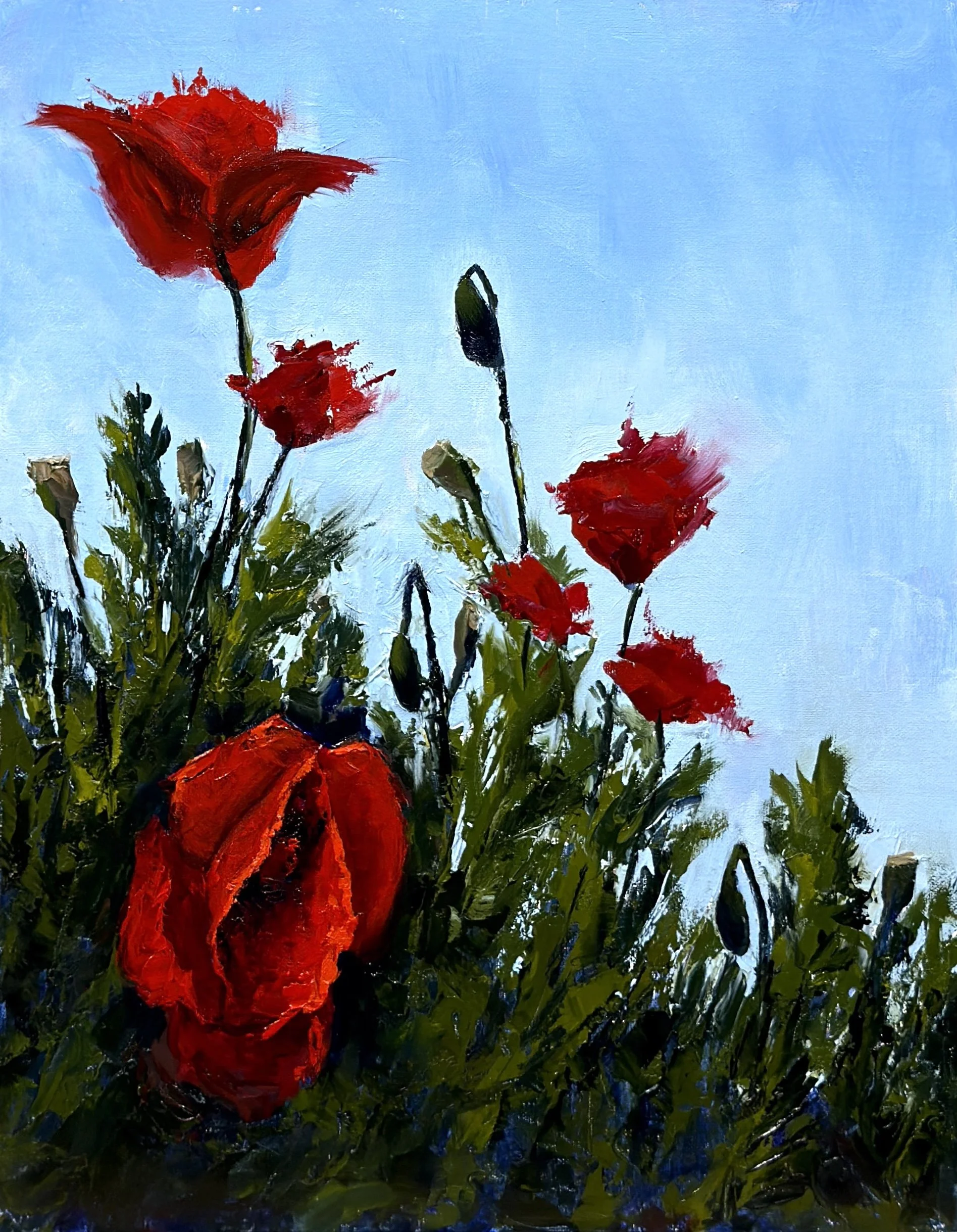 "Red Corn Poppies", Oregon, 11x14" oil on linen panel
