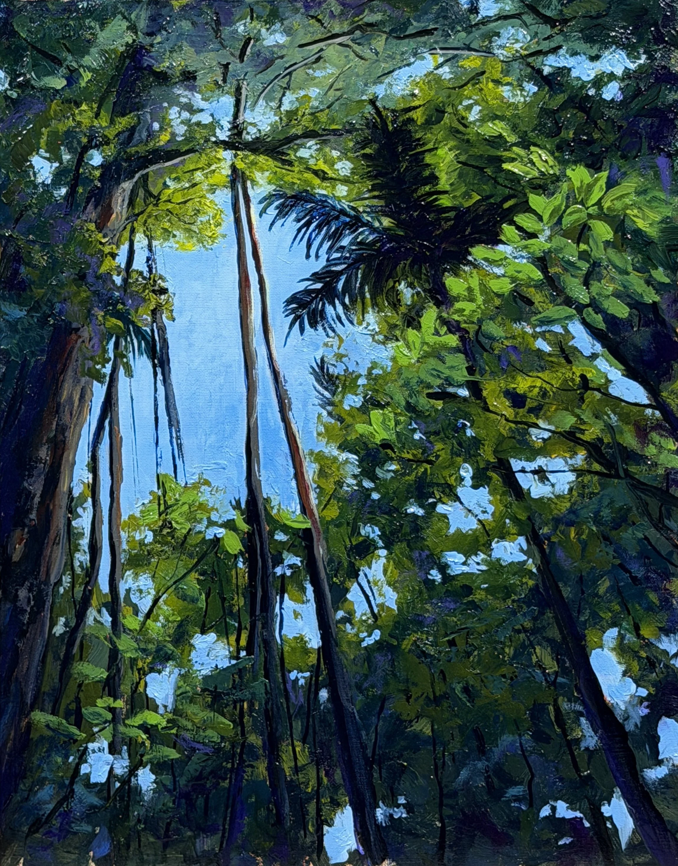 "Aperture II: Ascension", Costa Rica, 11x14" oil on linen panel