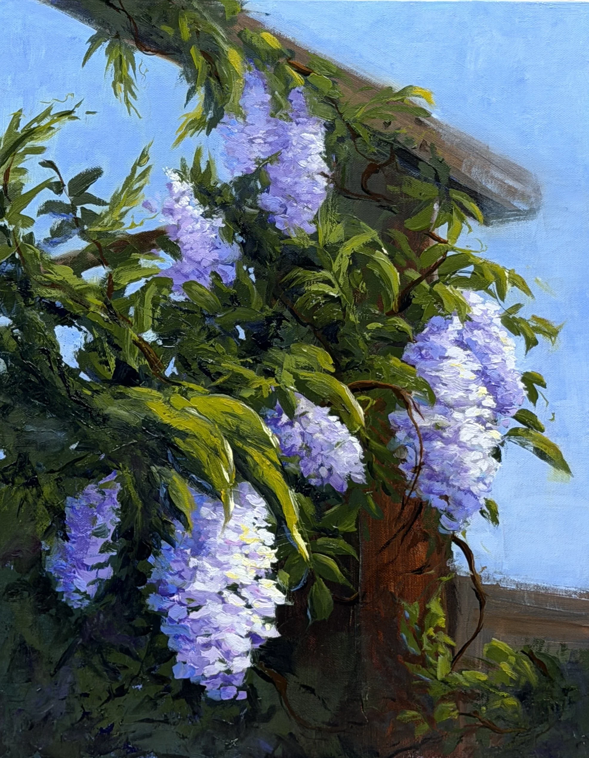 "Wisteria Veil", Oregon, 11x14" oil on linen panel