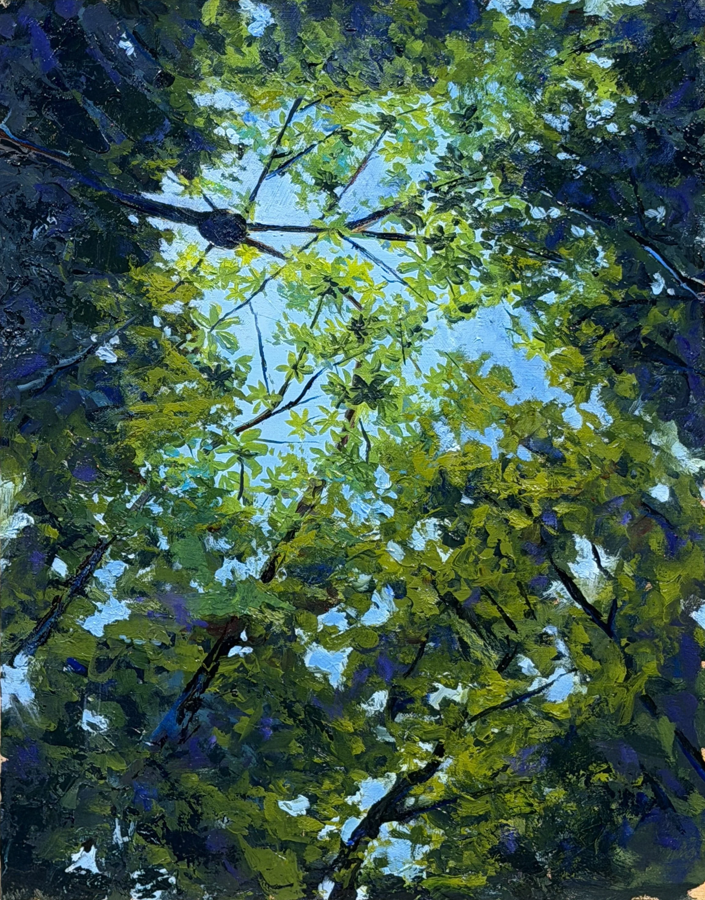 "Aperture I: Emergence", Costa Rica, 11x14" Oil on linen panel [Available at Riverside Gallery, Boise, ID]