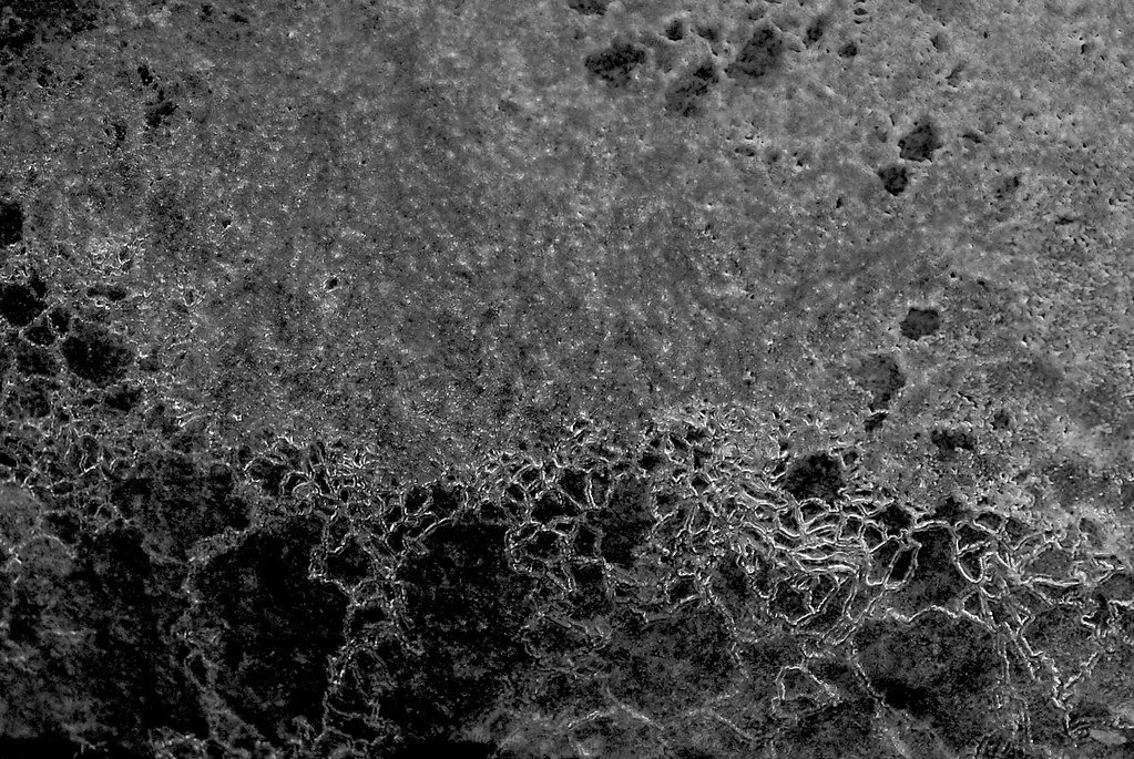 7705451050_0c0c35701a_b.jpg