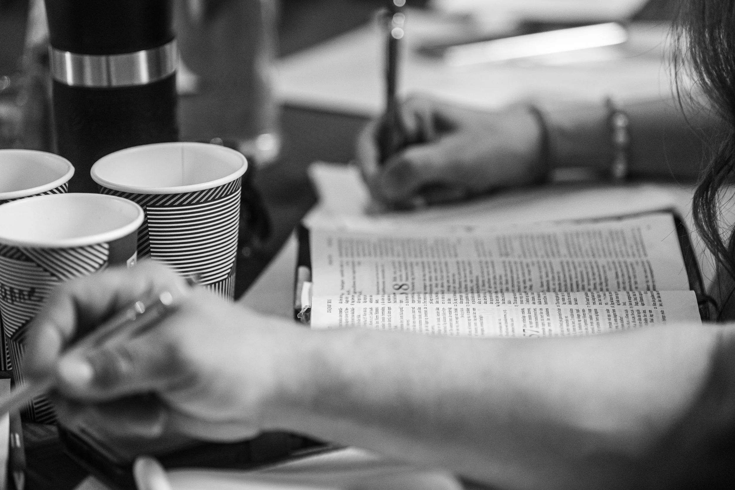 17.6.25 - Rebuild the ruins -24 copy.jpg