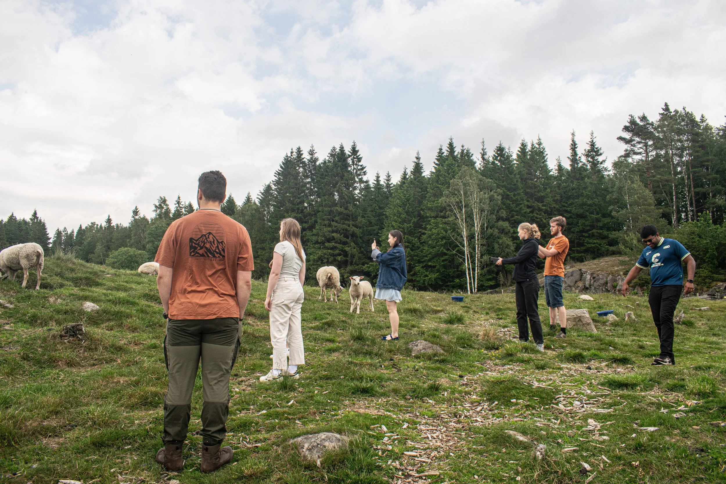 17.6.25 - Rebuild the ruins -47 copy.jpg