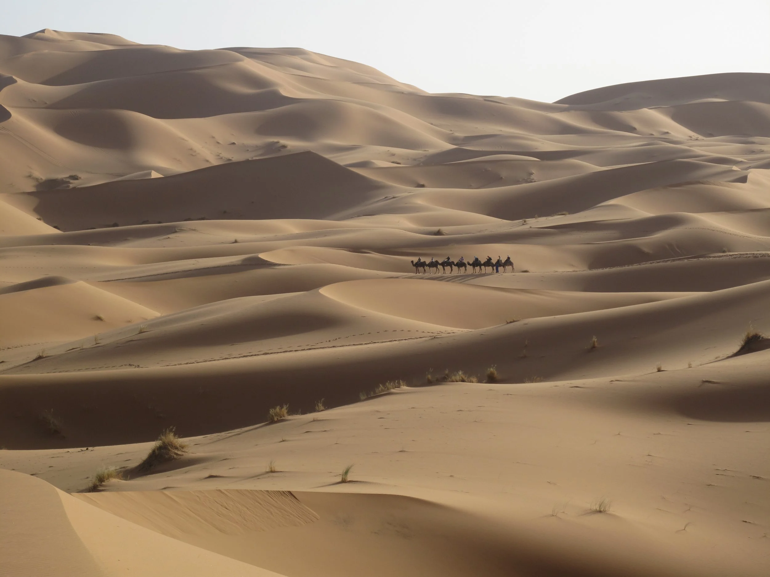 7 Erg Chebbi, Morocco 2013.JPG