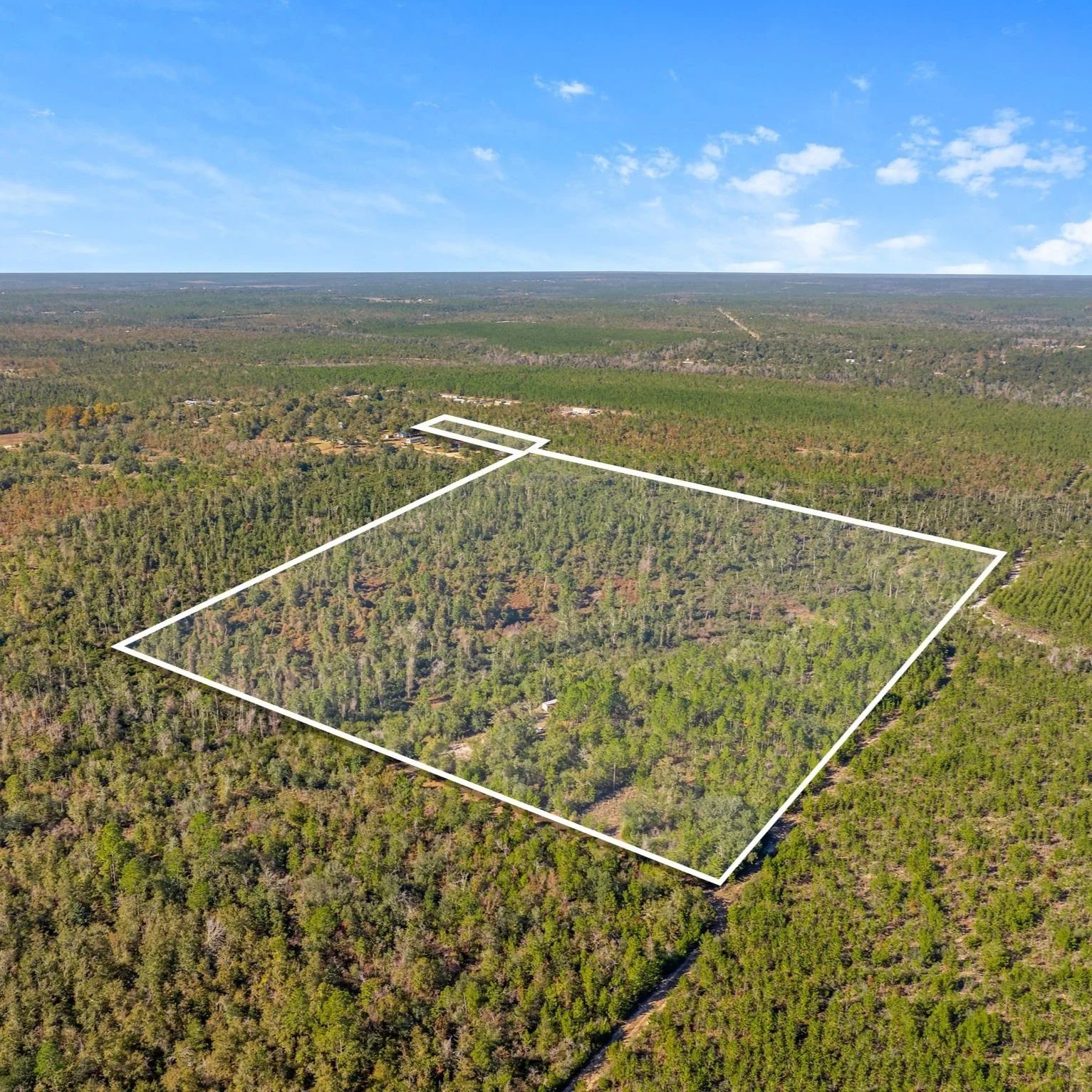 19-TBD Co Rd 274-3.jpg