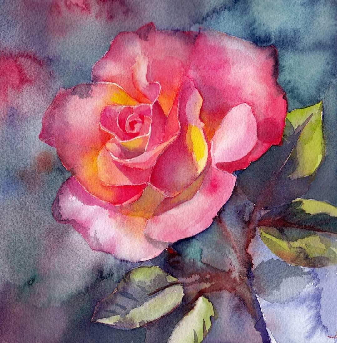 Acquarello di una rosa rosa con foglie verdi scure su sfondo sfumato.