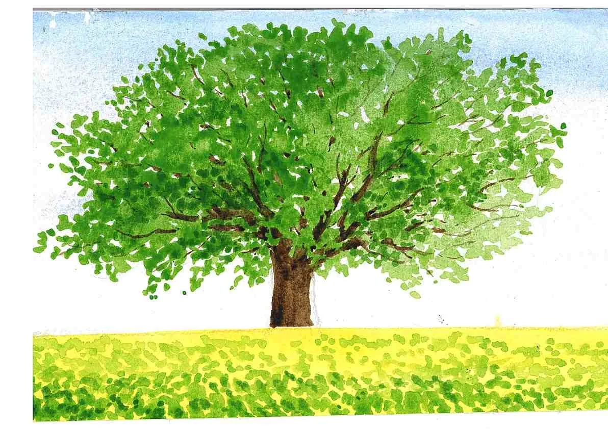 abilità puntini ad acquerello, primi elementi