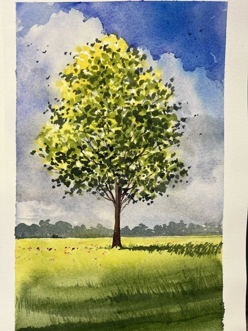 Albero in un prato, acquerello di Cristina Mollica