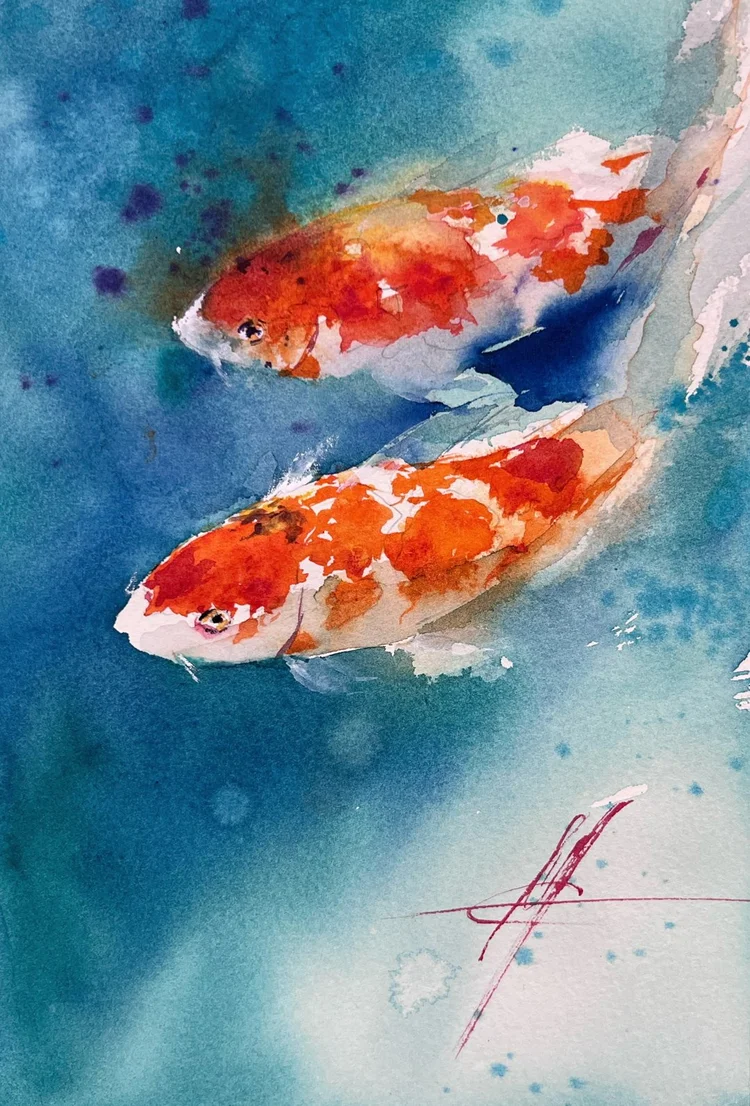 Due carpe koi sott’acqua, acquerello — pacchetto Animali