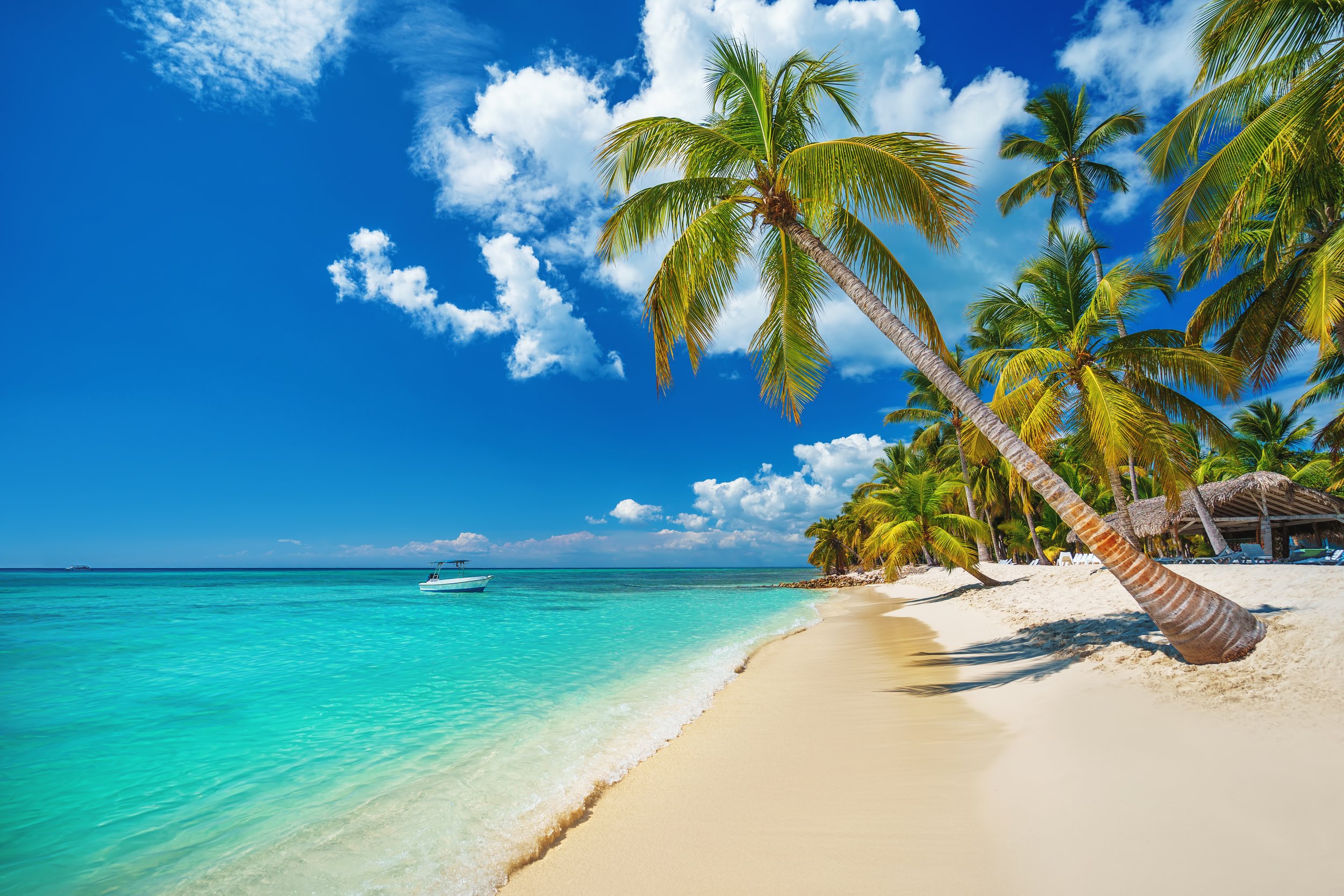 A tropical beach with white sand, turquoise water, palm trees, and a thatched hut in the background.