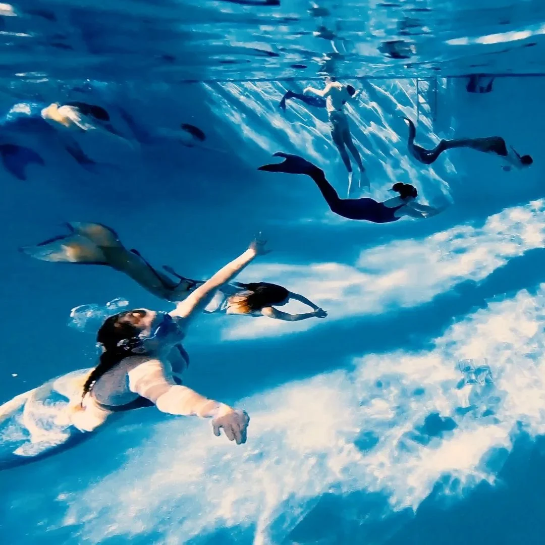 PADI Certification Class Chicago Bensenville IL
