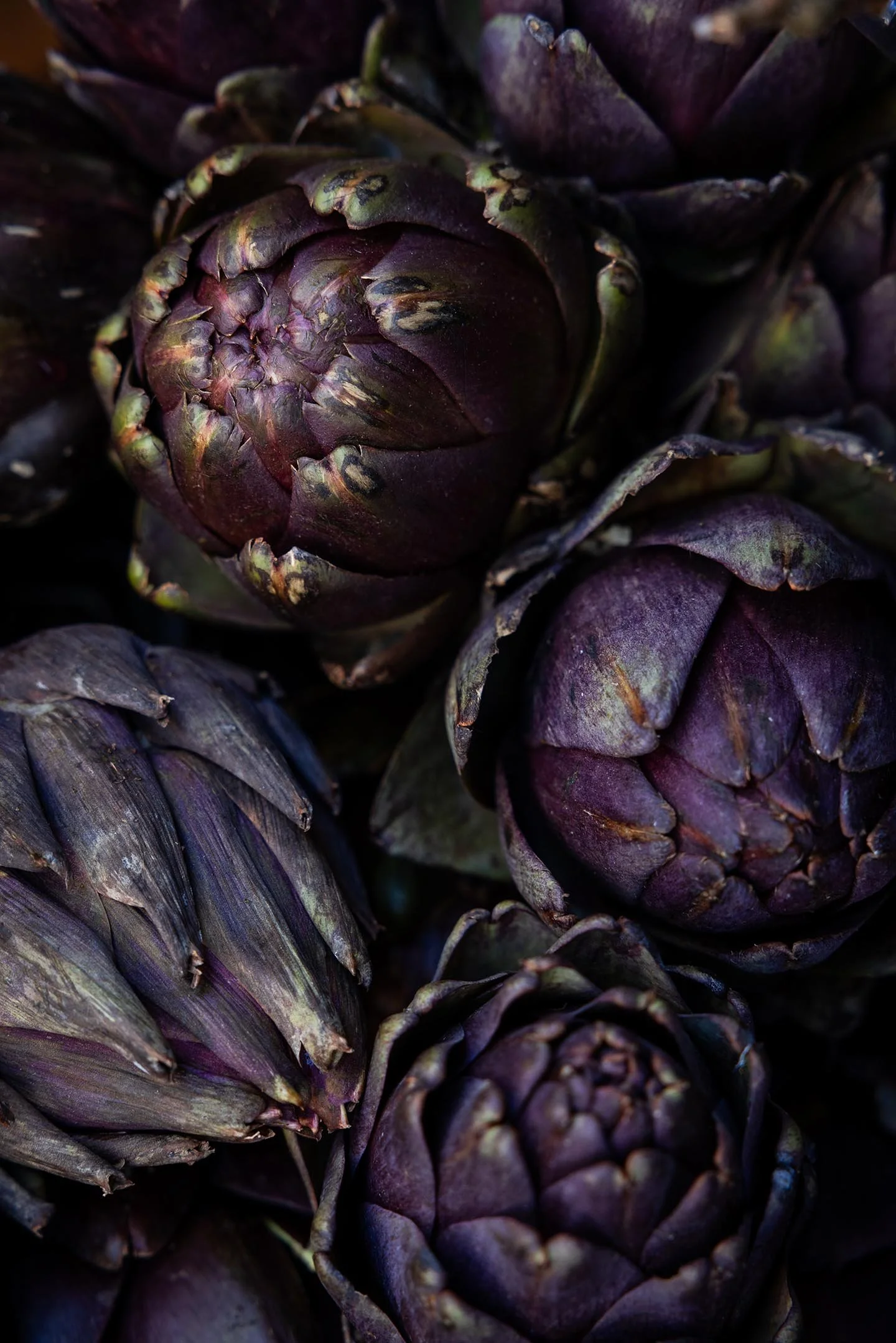 Close-up photo of several dark purple artichokes with greenish tips, showing a textured and layered surface.