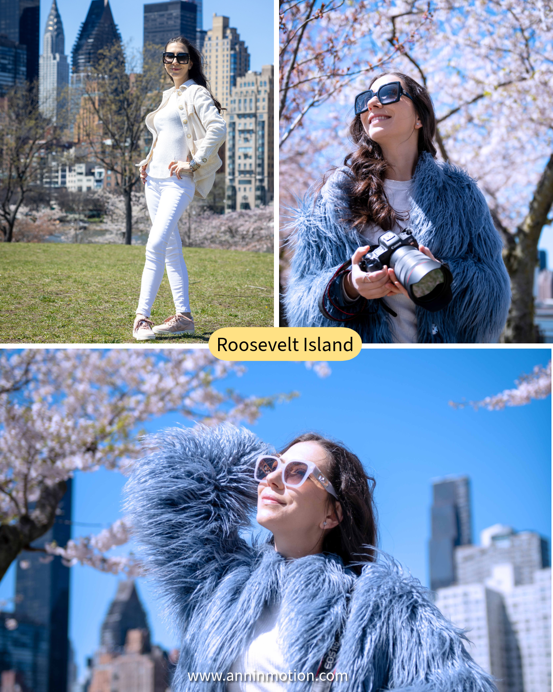 Cherry blossoms and spring flowers blooming on Roosevelt Island with views of the Manhattan skyline.