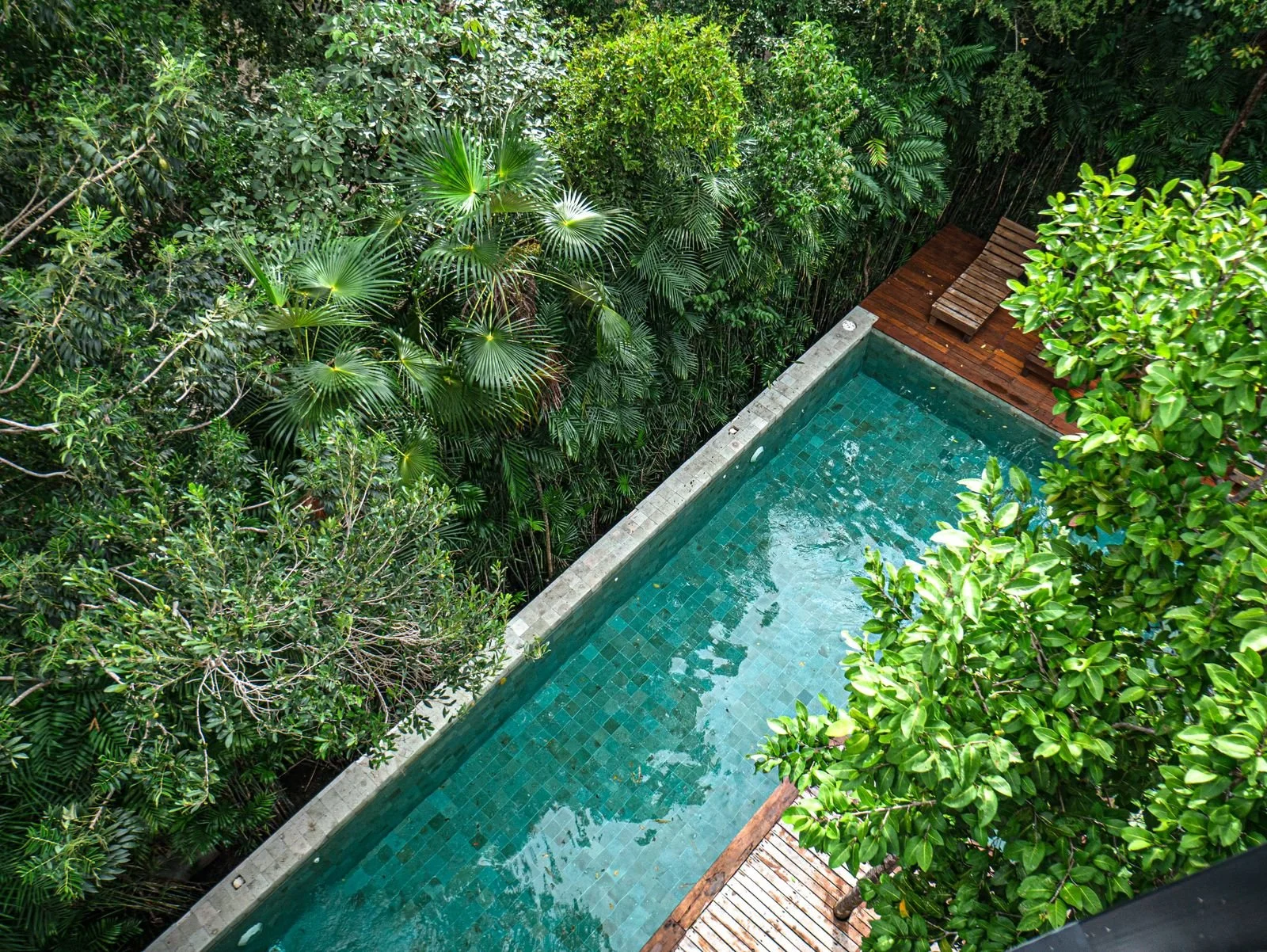 WhatsApp Image 2025-06-04 at 16.04.59_f3e681ee.jpg