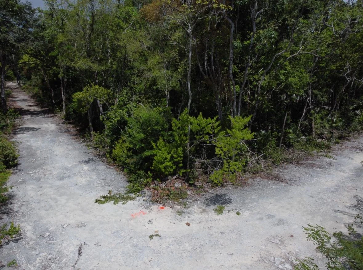 WhatsApp Image 2025-06-12 at 12.38.18_4bc9d60b.jpg