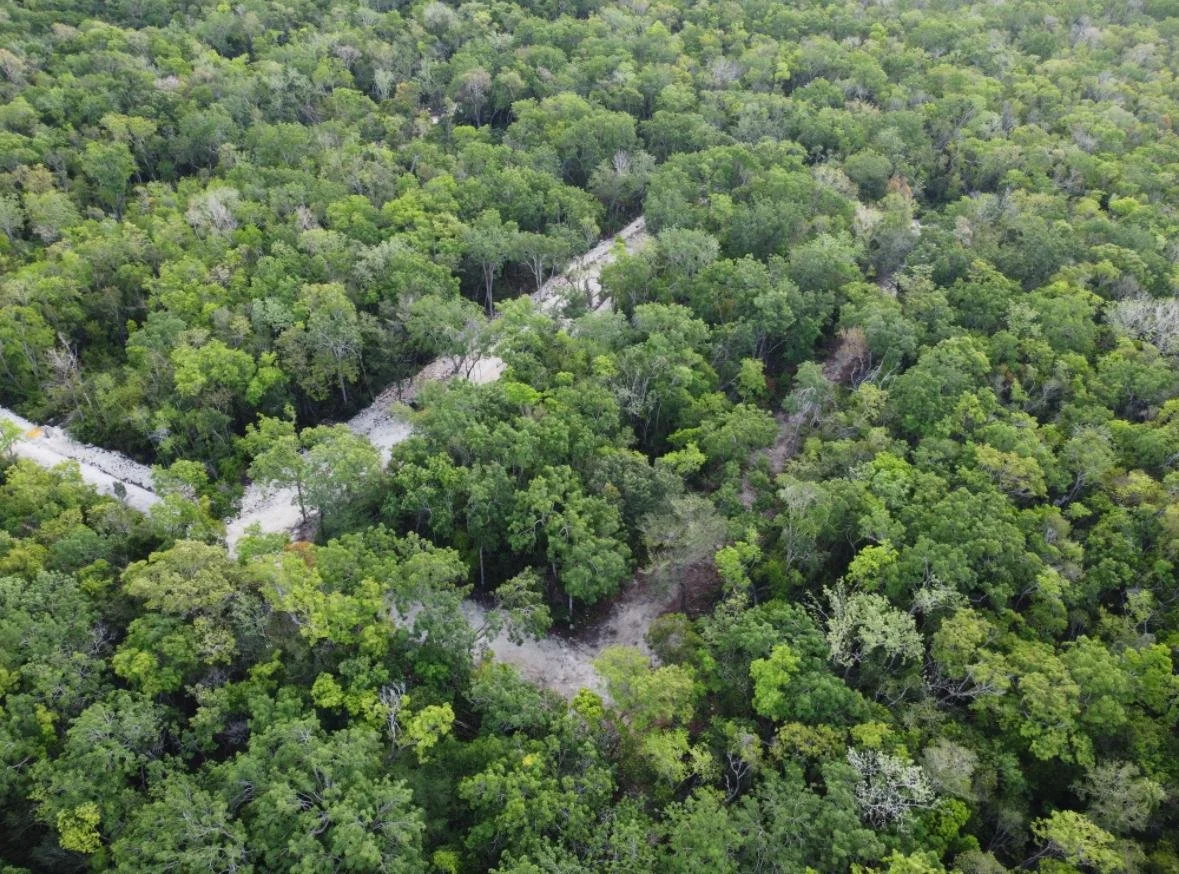 WhatsApp Image 2025-06-12 at 12.38.18_af65ec41.jpg