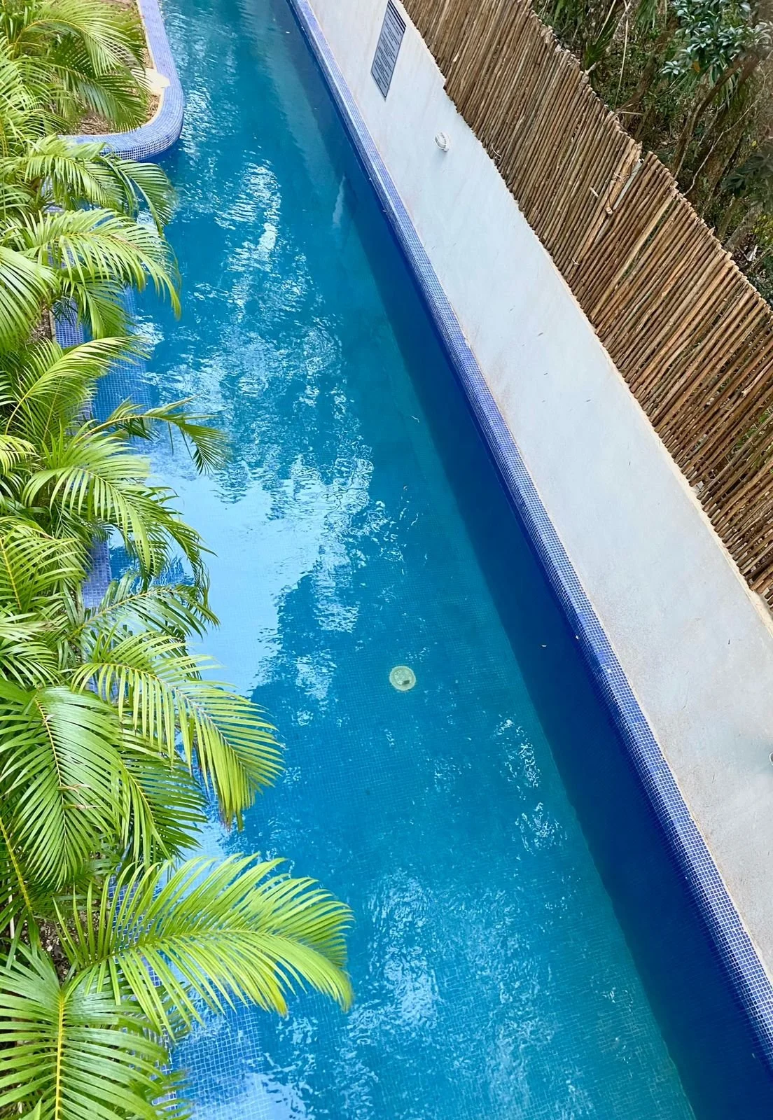 WhatsApp Image 2025-06-04 at 16.07.31_eefd7f2a.jpg