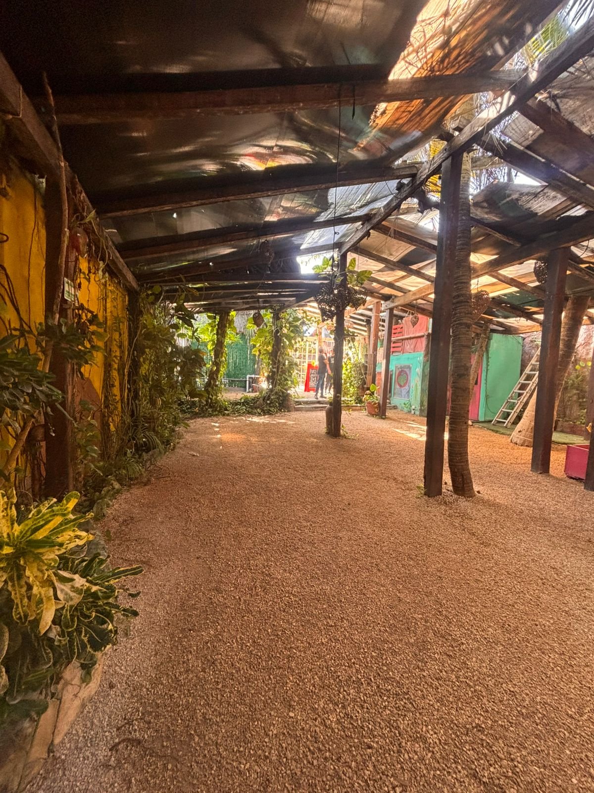 WhatsApp Image 2025-06-04 at 16.14.15_cff6e446.jpg