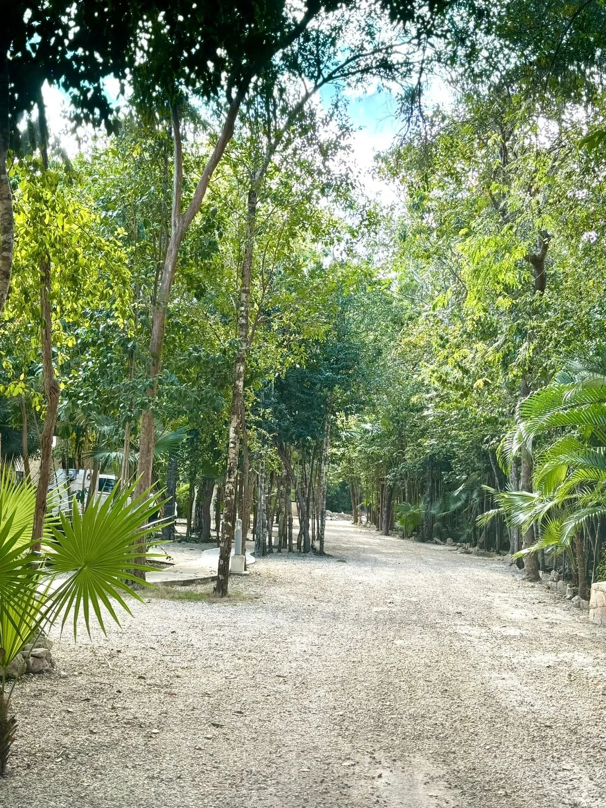 WhatsApp Image 2025-06-04 at 16.07.38_049b7421.jpg