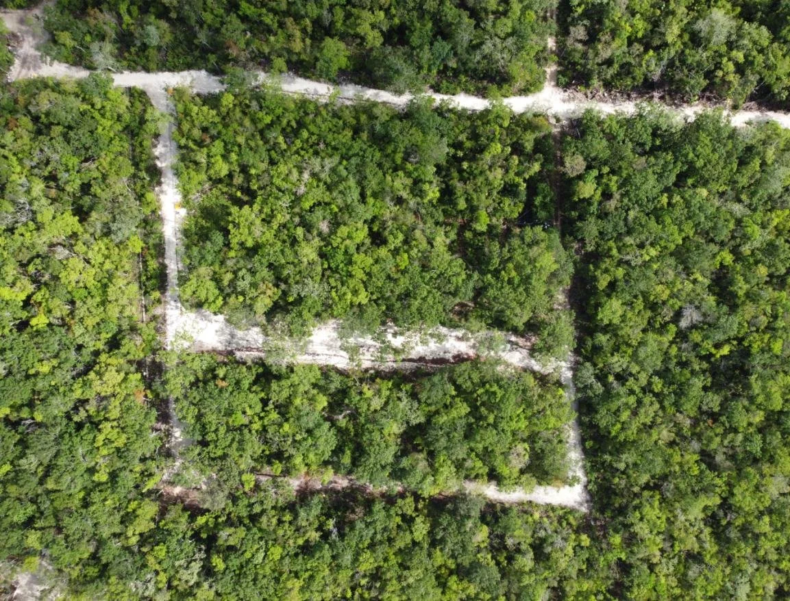 WhatsApp Image 2025-06-12 at 12.38.18_863f37da.jpg