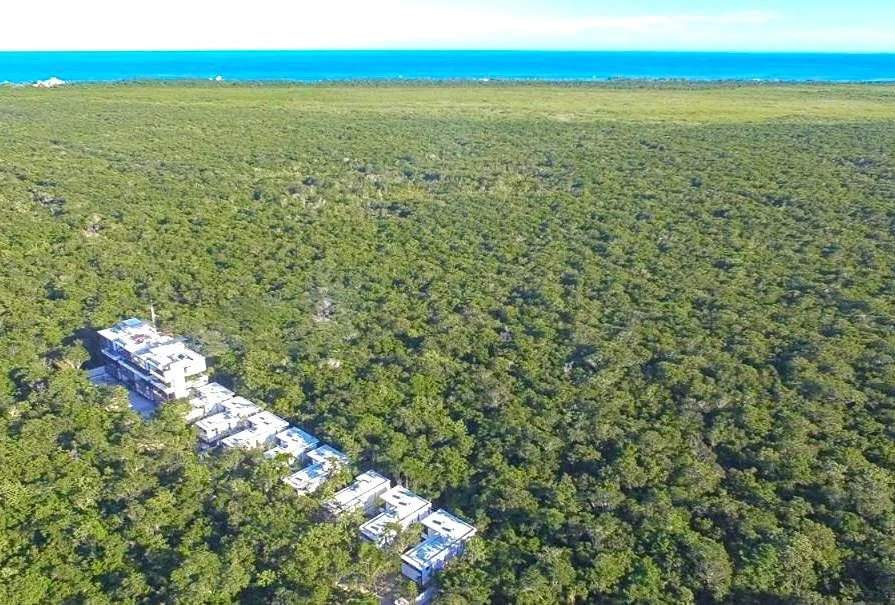 WhatsApp Image 2025-06-04 at 16.07.30_7c8752fb.jpg