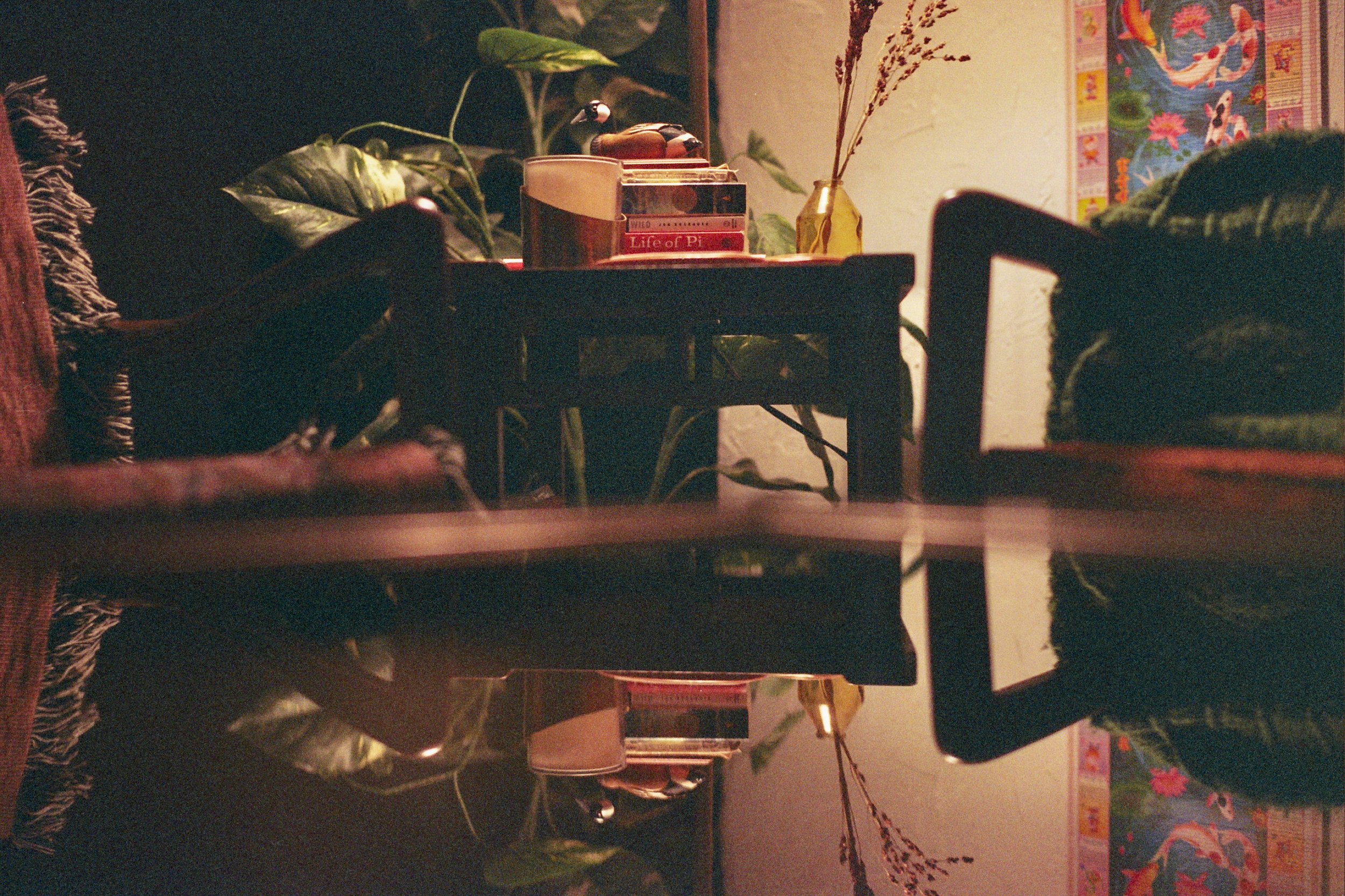 231219_Minoltax700_R1_Ultramax400_P-3.jpg