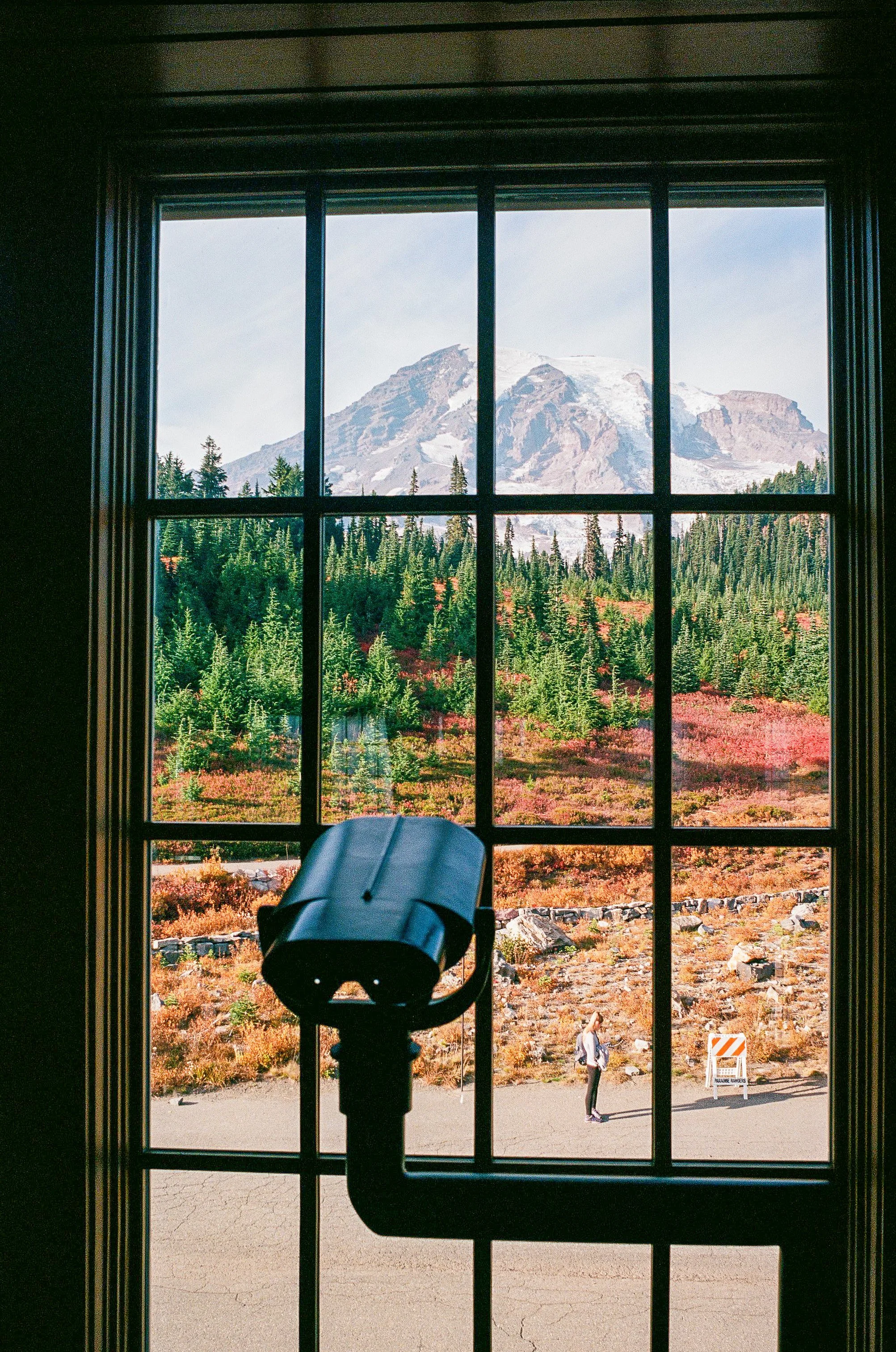 241012_Minoltax700_R2_Ektar100_P-17.jpg