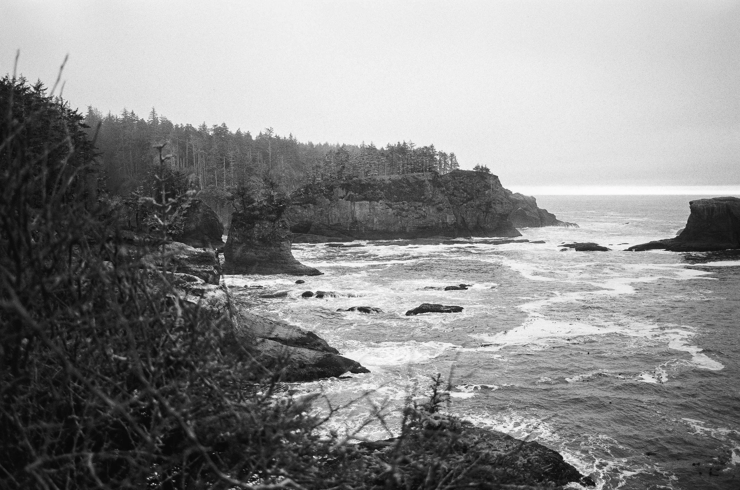 241109_Minoltax700_R1_Delta100_P-1.jpg