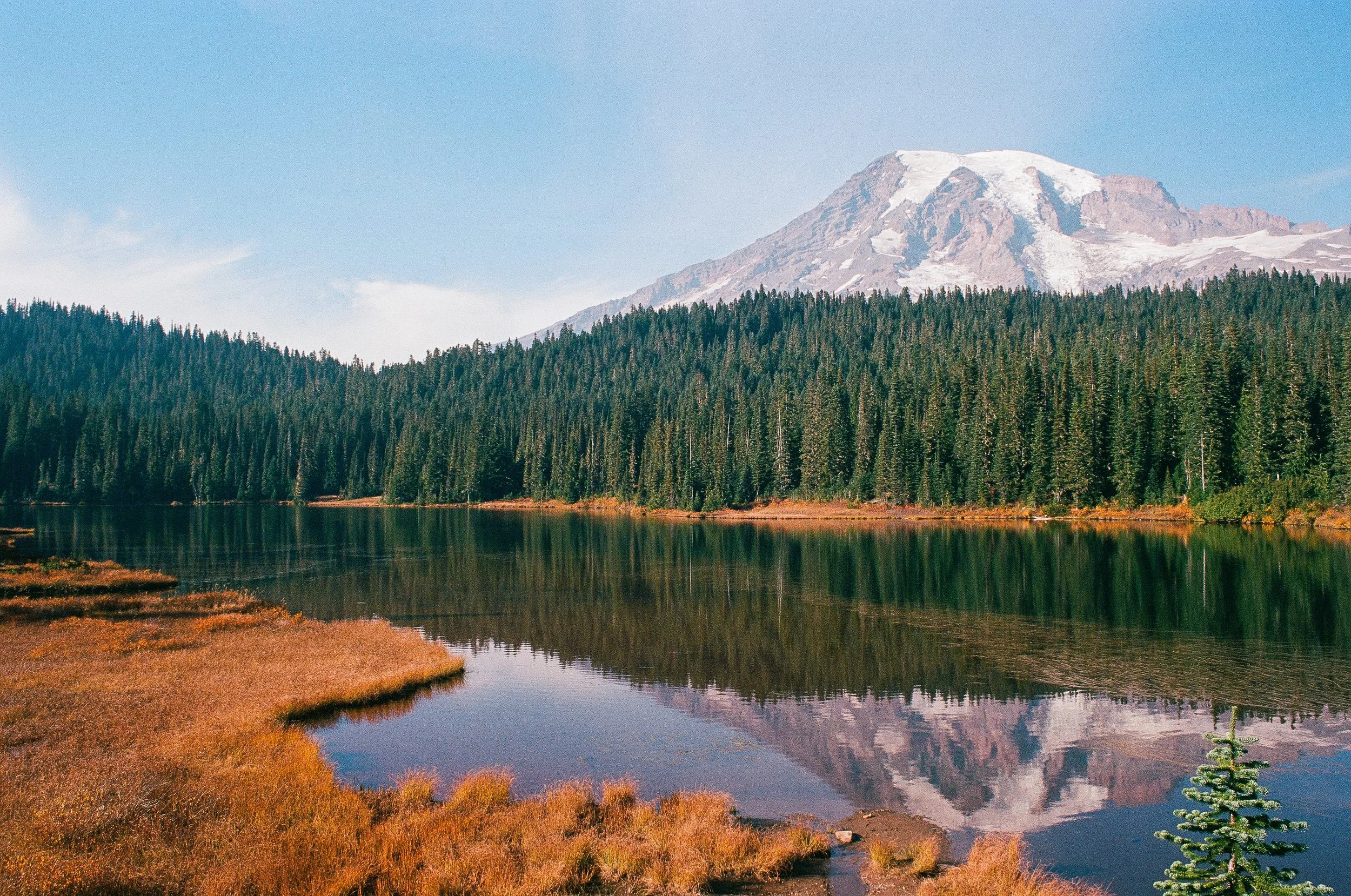 241012_Minoltax700_R2_Ektar100_P-20.jpg