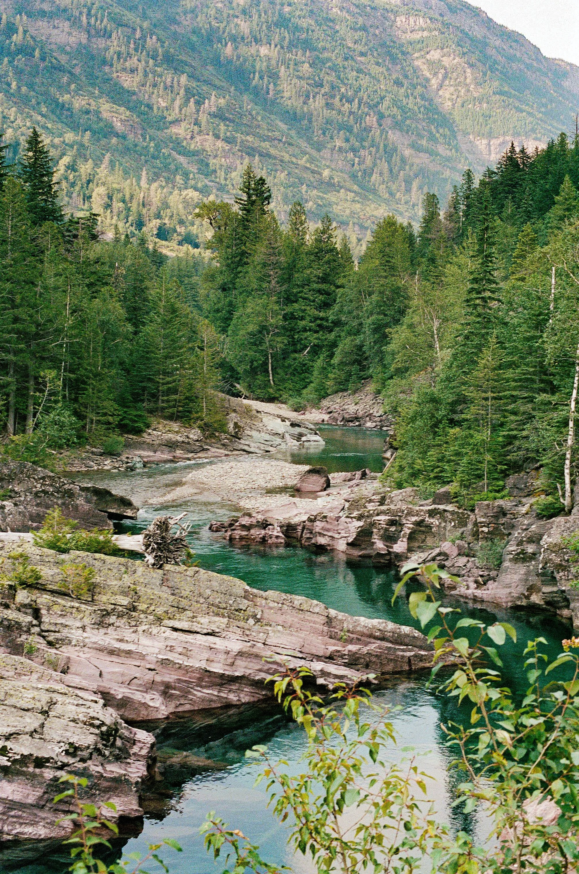 240810_Minoltax700_R5_Portra400_P-23.jpg