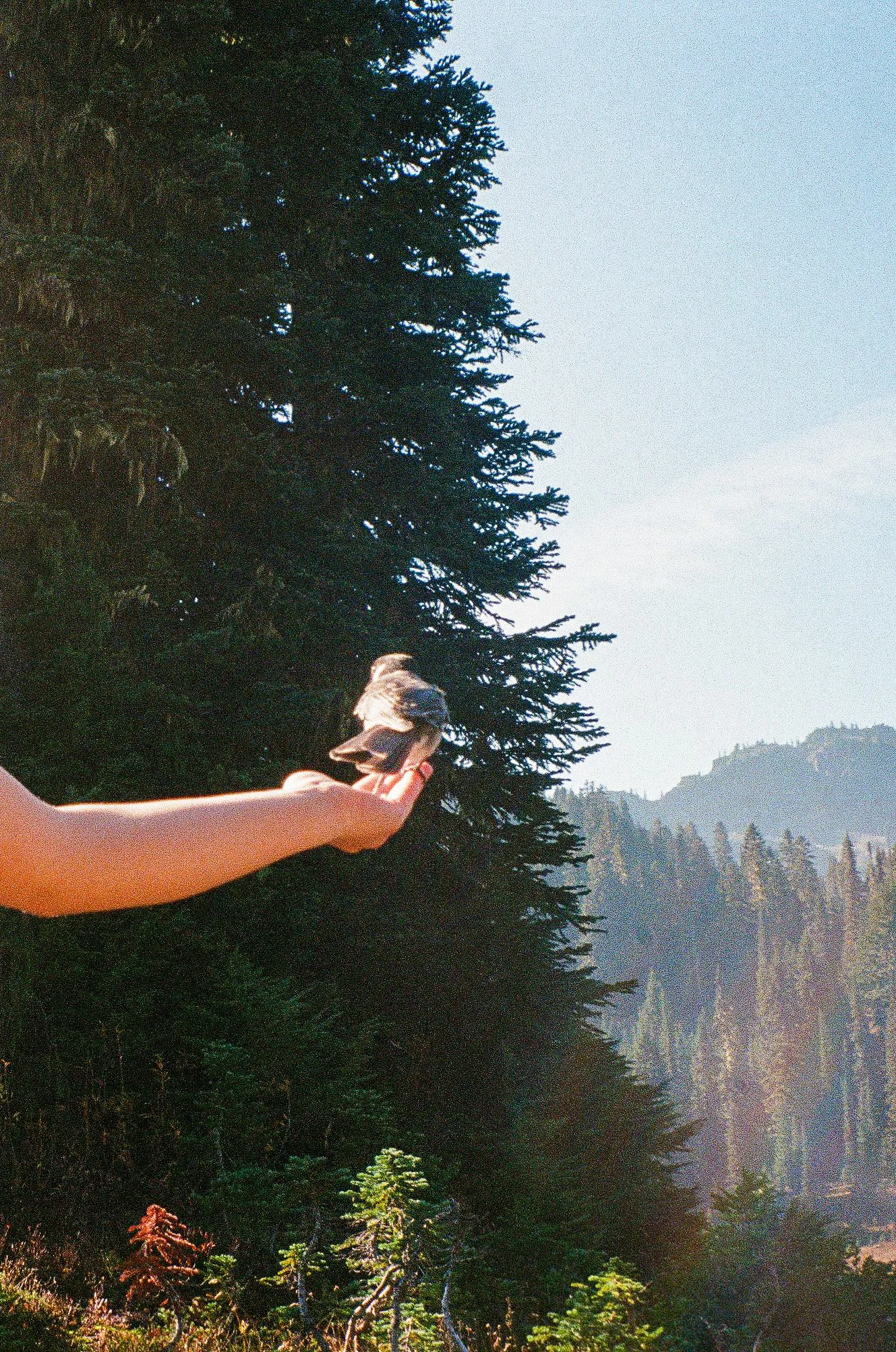 241012_FujifilmP&S_R1_Lomo400_P-17.jpg