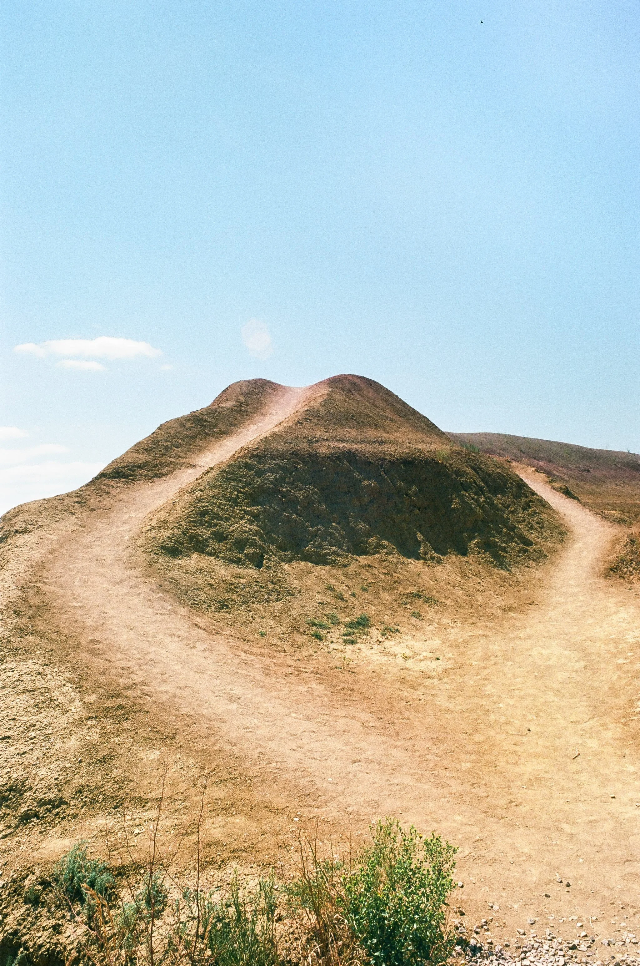 240806_Minoltax700_R2_Ektar100_P-2.jpg