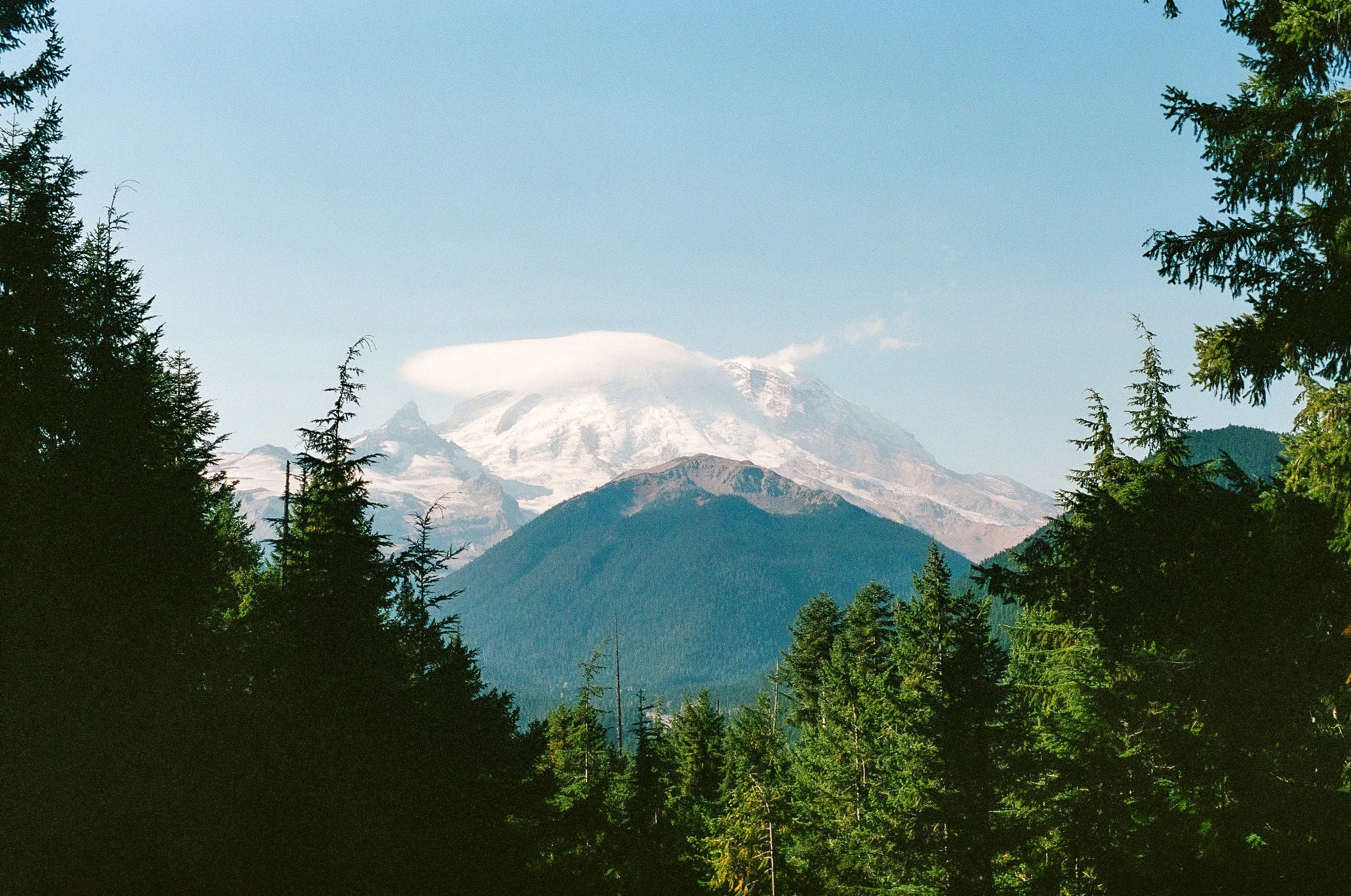 240810_Minoltax700_R5_Portra400_P-35.jpg